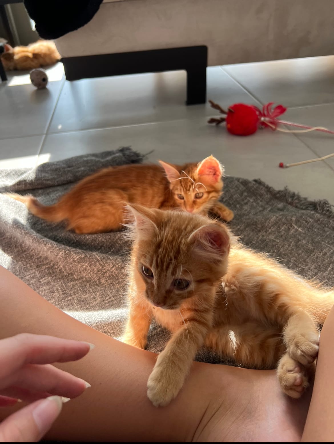 8ECC9FAD-321E-4D7B-893A-6F44F7839B6B