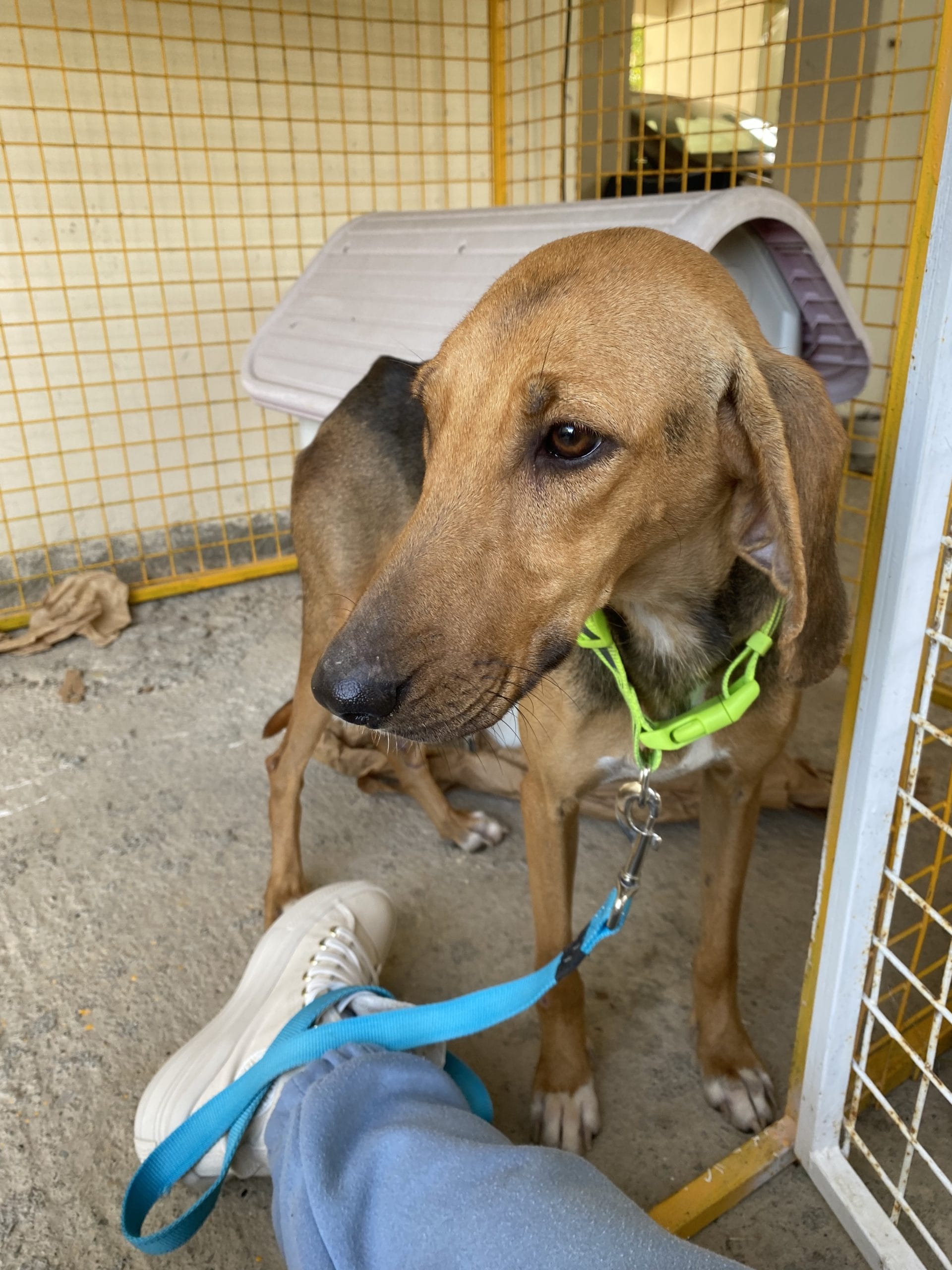 A2172DA6-D0E8-41A3-BDB1-D730EC70A2E8