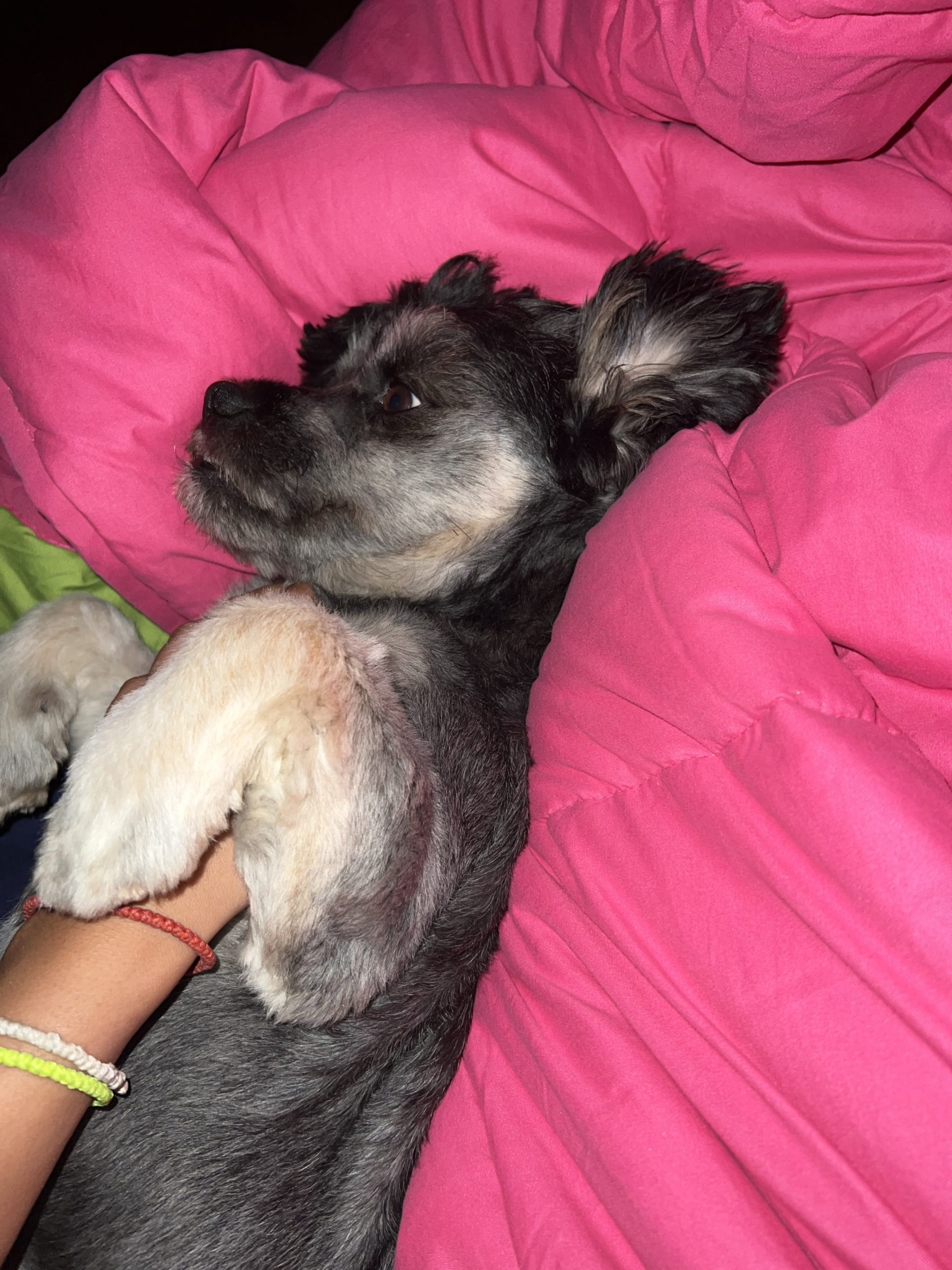 C4FE58B9-45AA-42AC-8C5D-D766B2735CEE