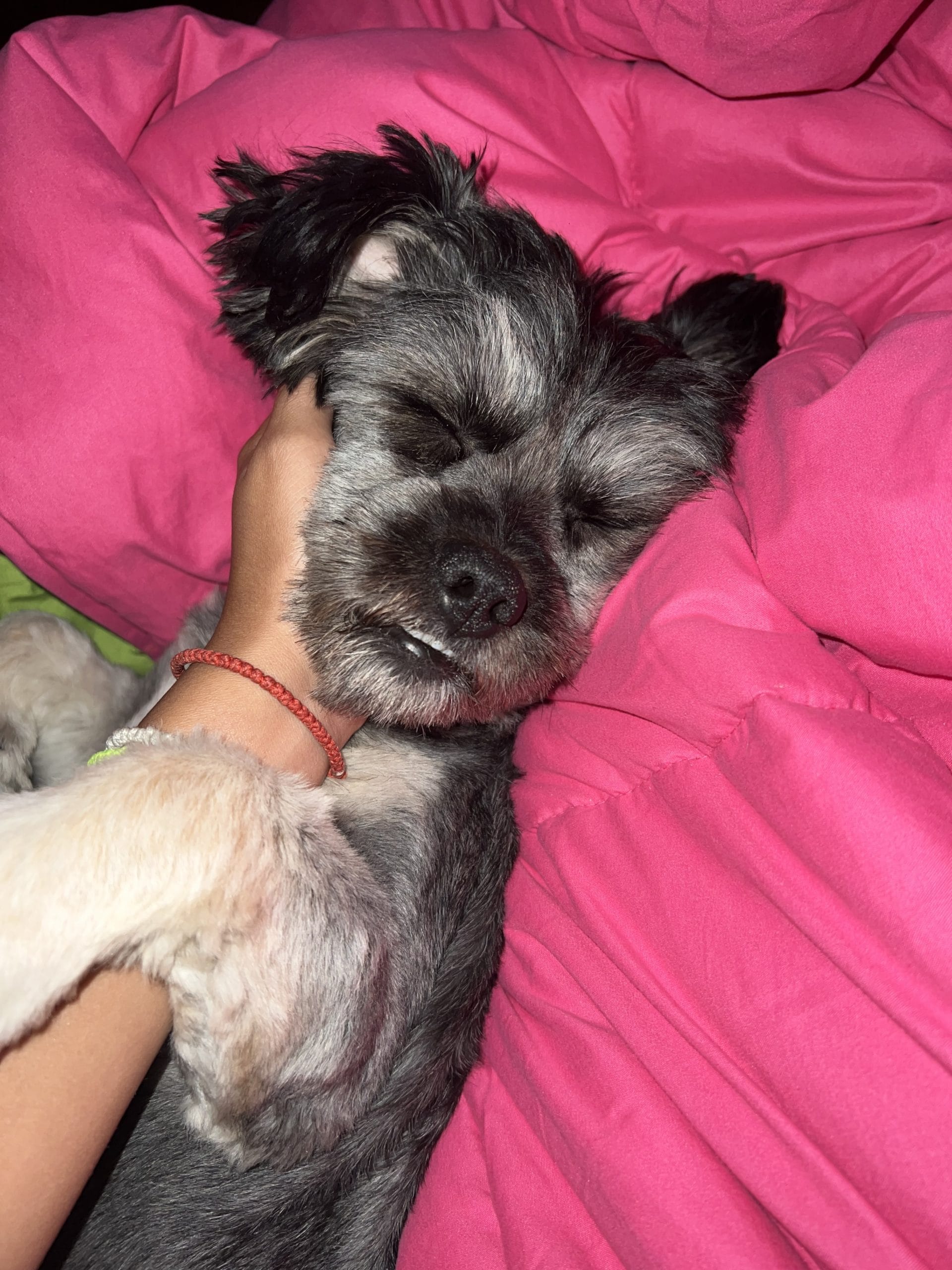 E1F595F1-9B5E-47F2-B2B7-17876C90B07F