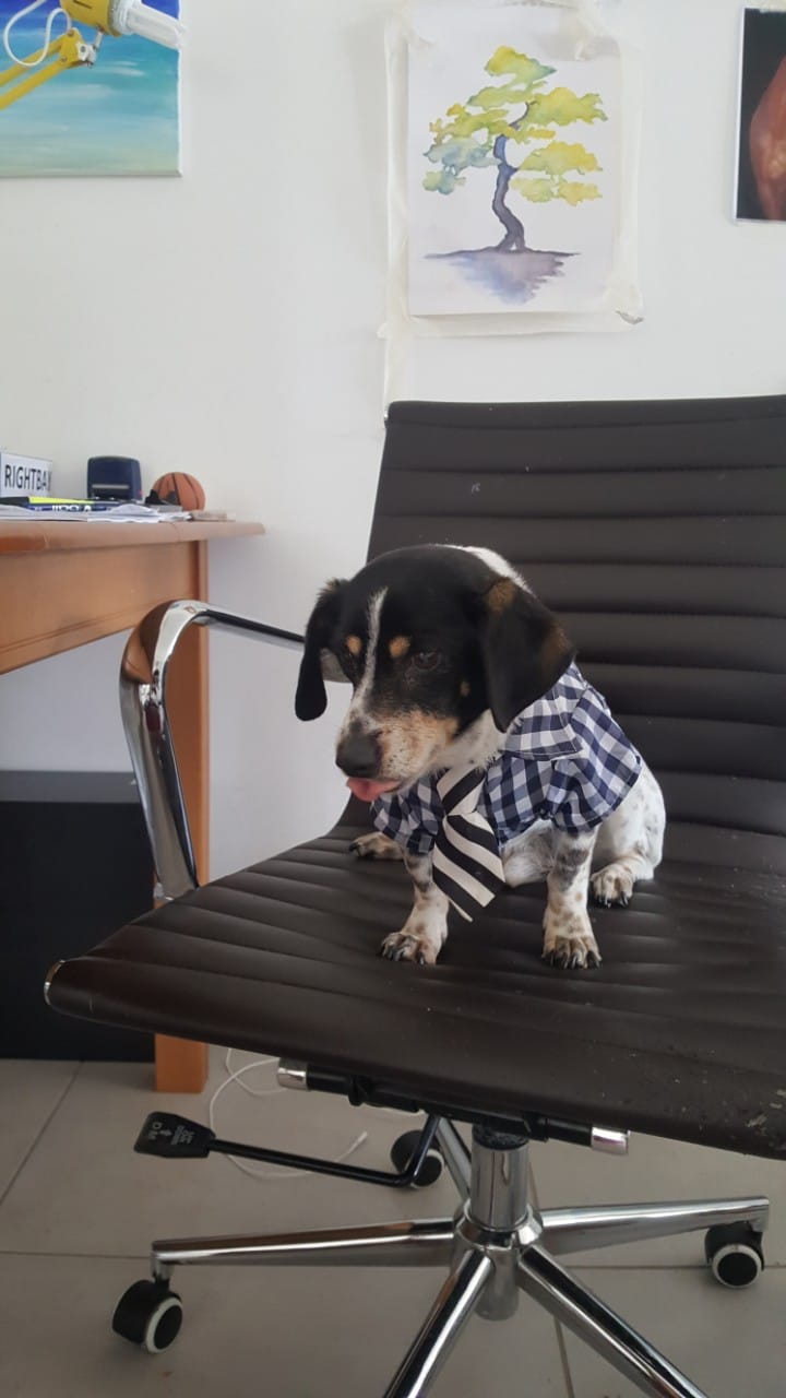 IMG-0ac70589c6a55bb3ad093c993d590ee6-V