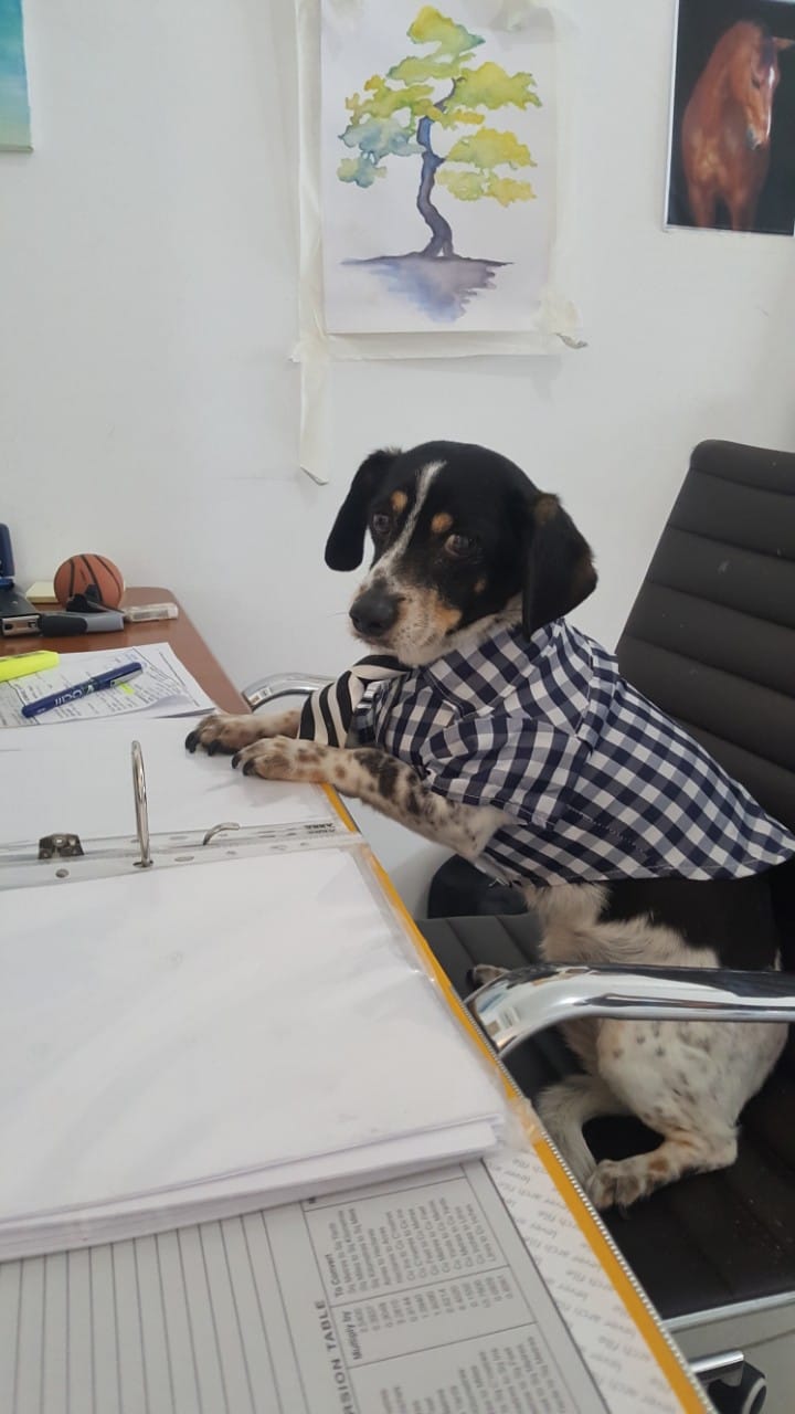 IMG-38af1c95d95f5ea3f3dd6ad7913815f6-V