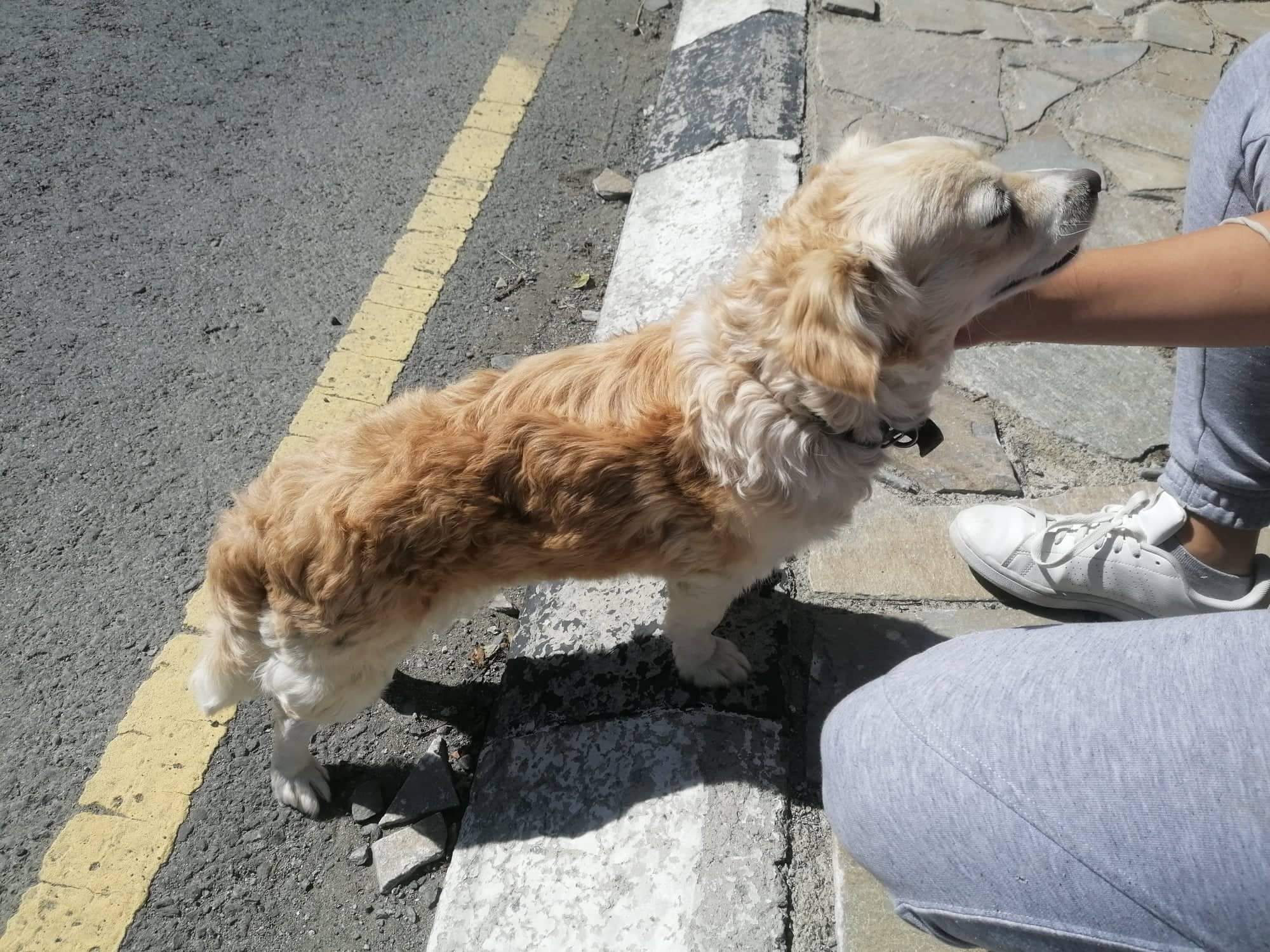 received_5798679920154728