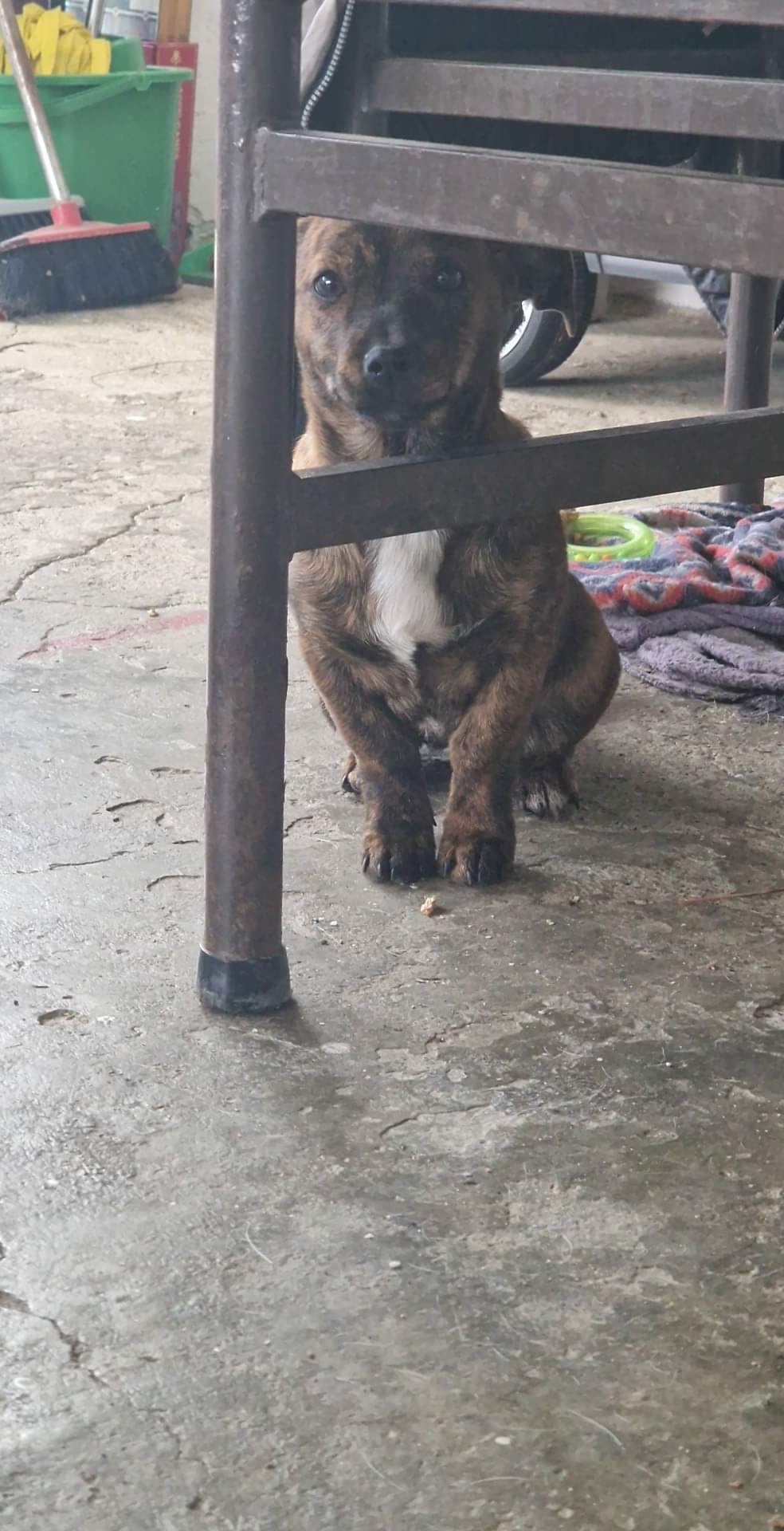 received_701404201348977