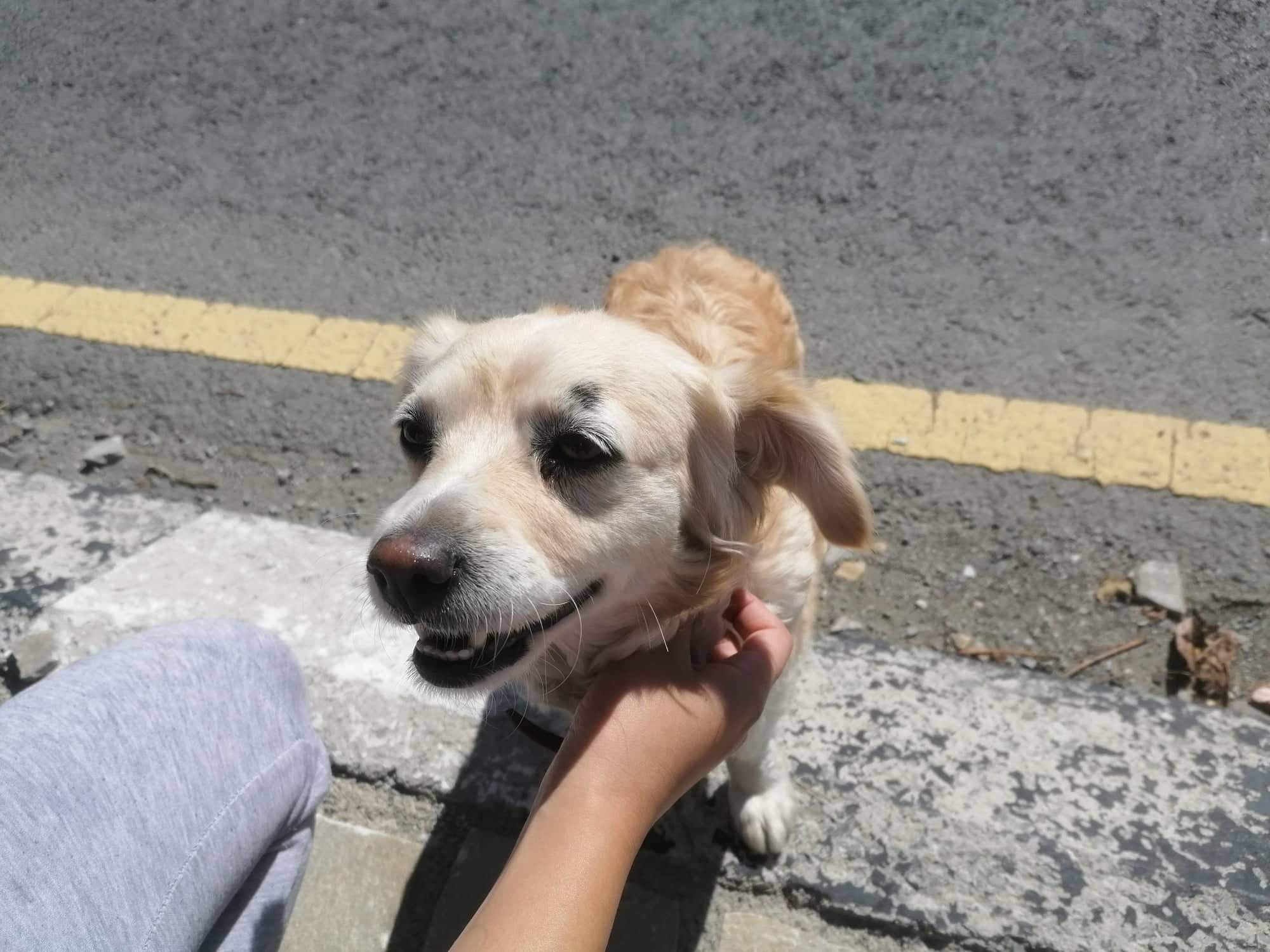 received_899259538126377