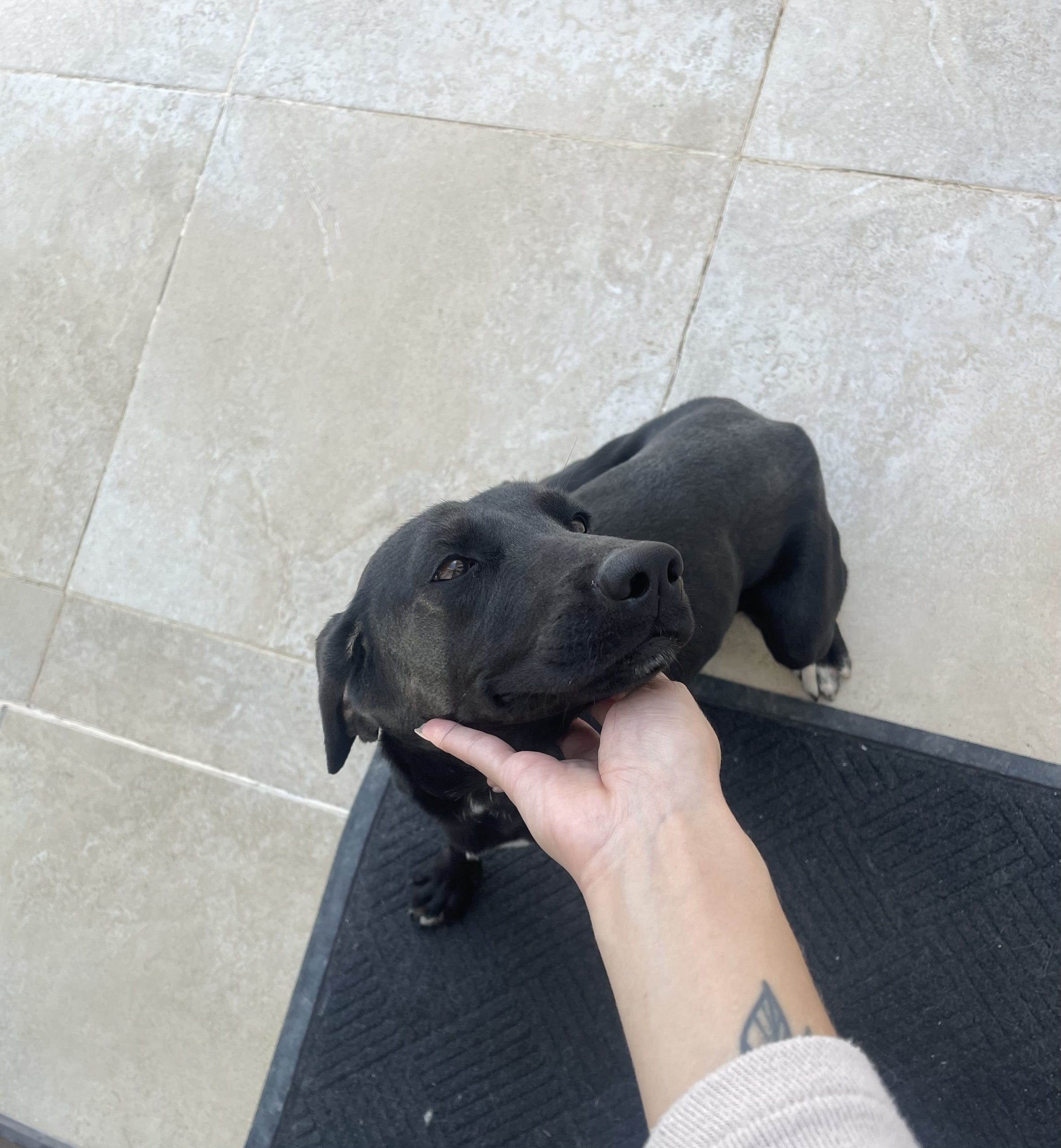 1A11B1C5-C2B5-42B4-AE28-95C2241B42C4