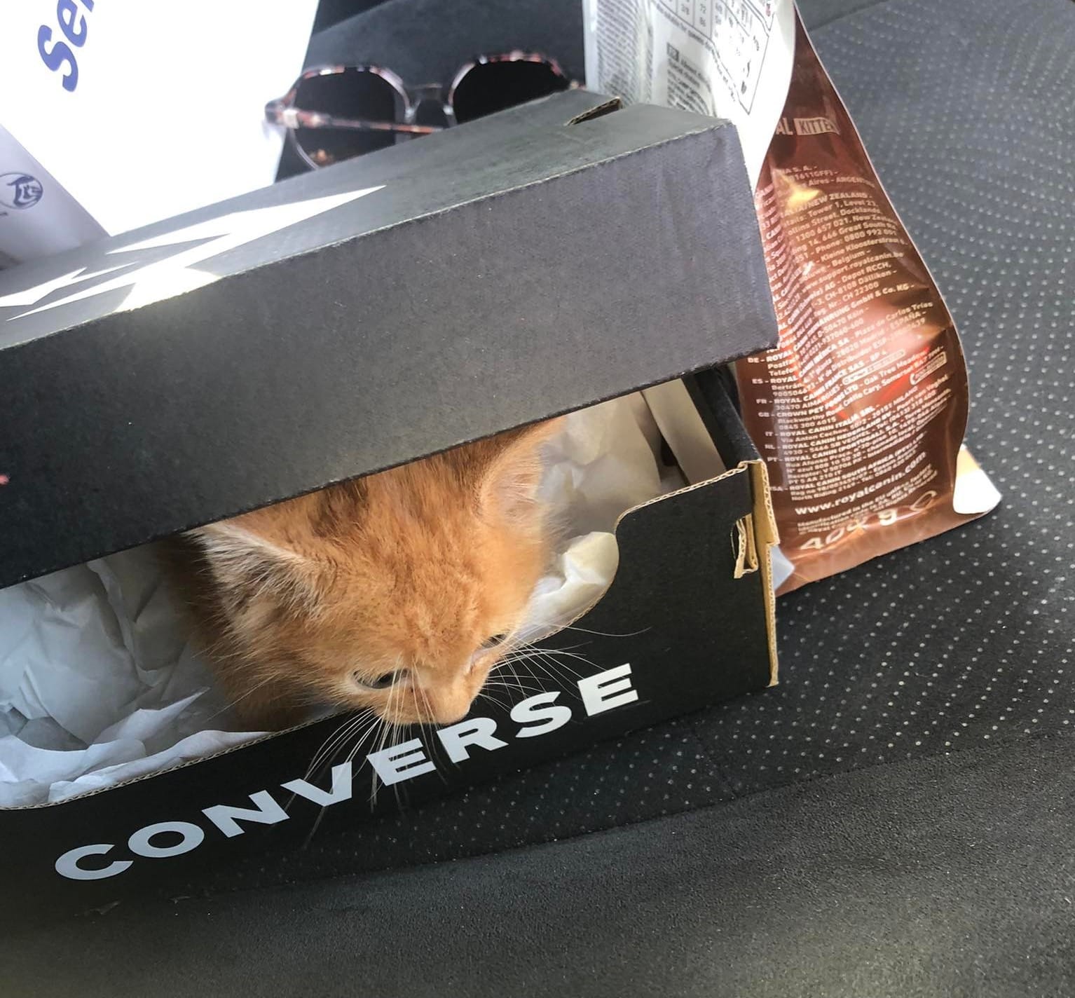 317334985_926993985372901_4124322997745811570_n