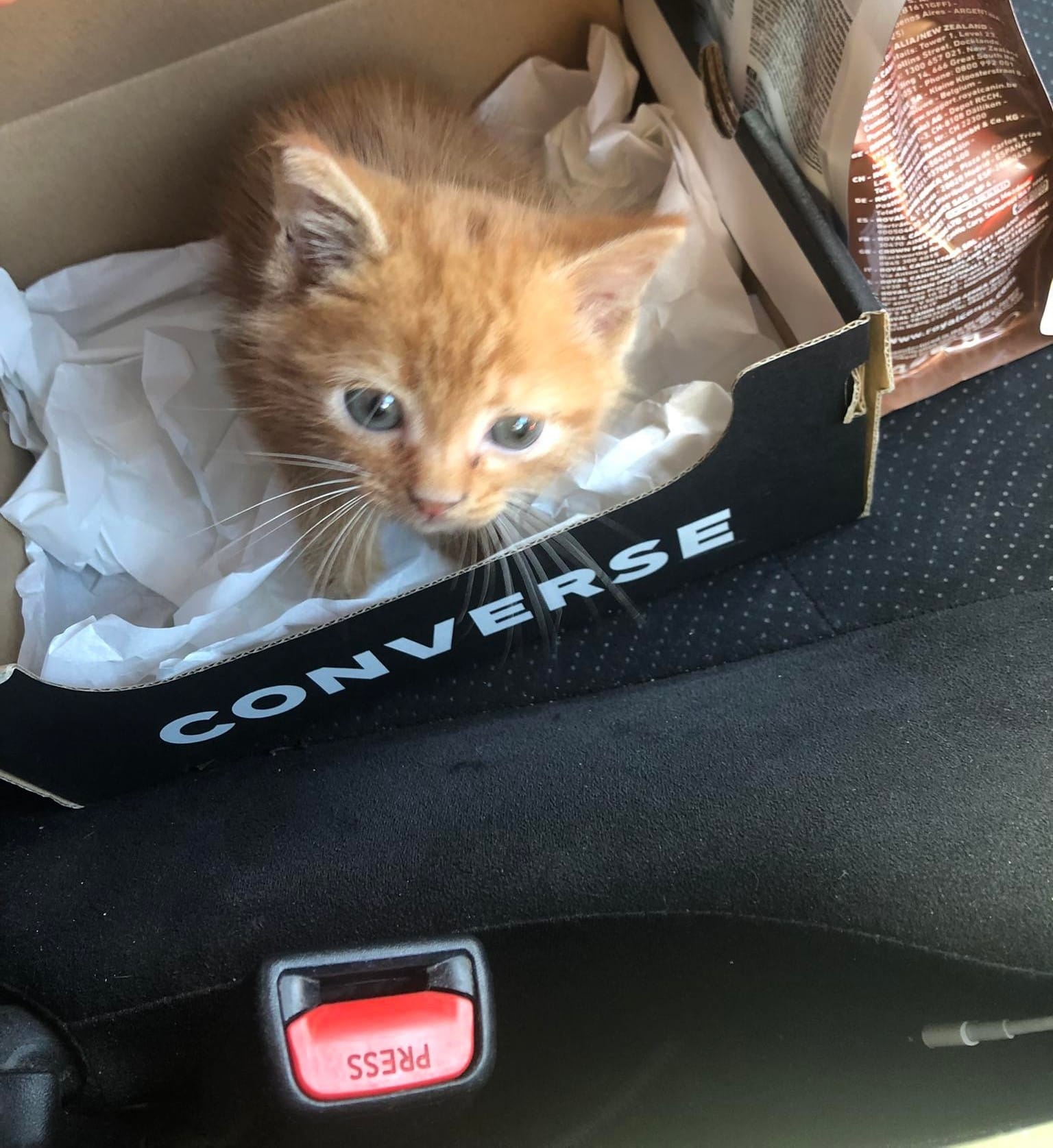 317350640_1140923949882377_1560077016373209076_n