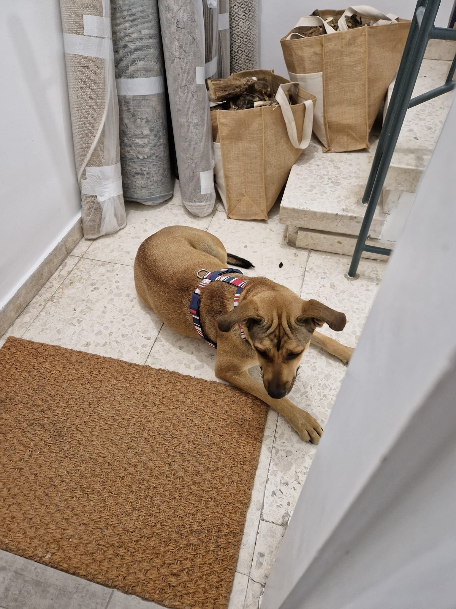 317630639_10223787336093158_1940291851411566636_n