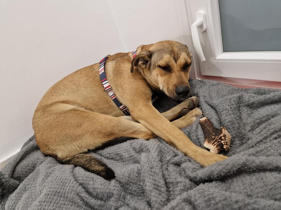 317751903_10223787335213136_3827734740069575741_n