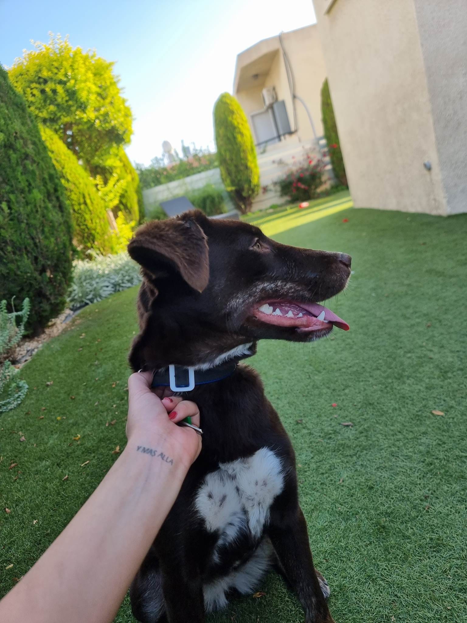 318359349_2994184094215076_7736617558078130998_n