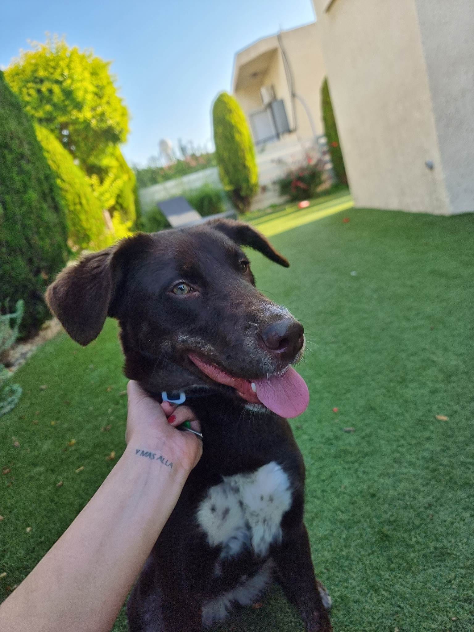 318494737_838477867361114_3097112782322292095_n