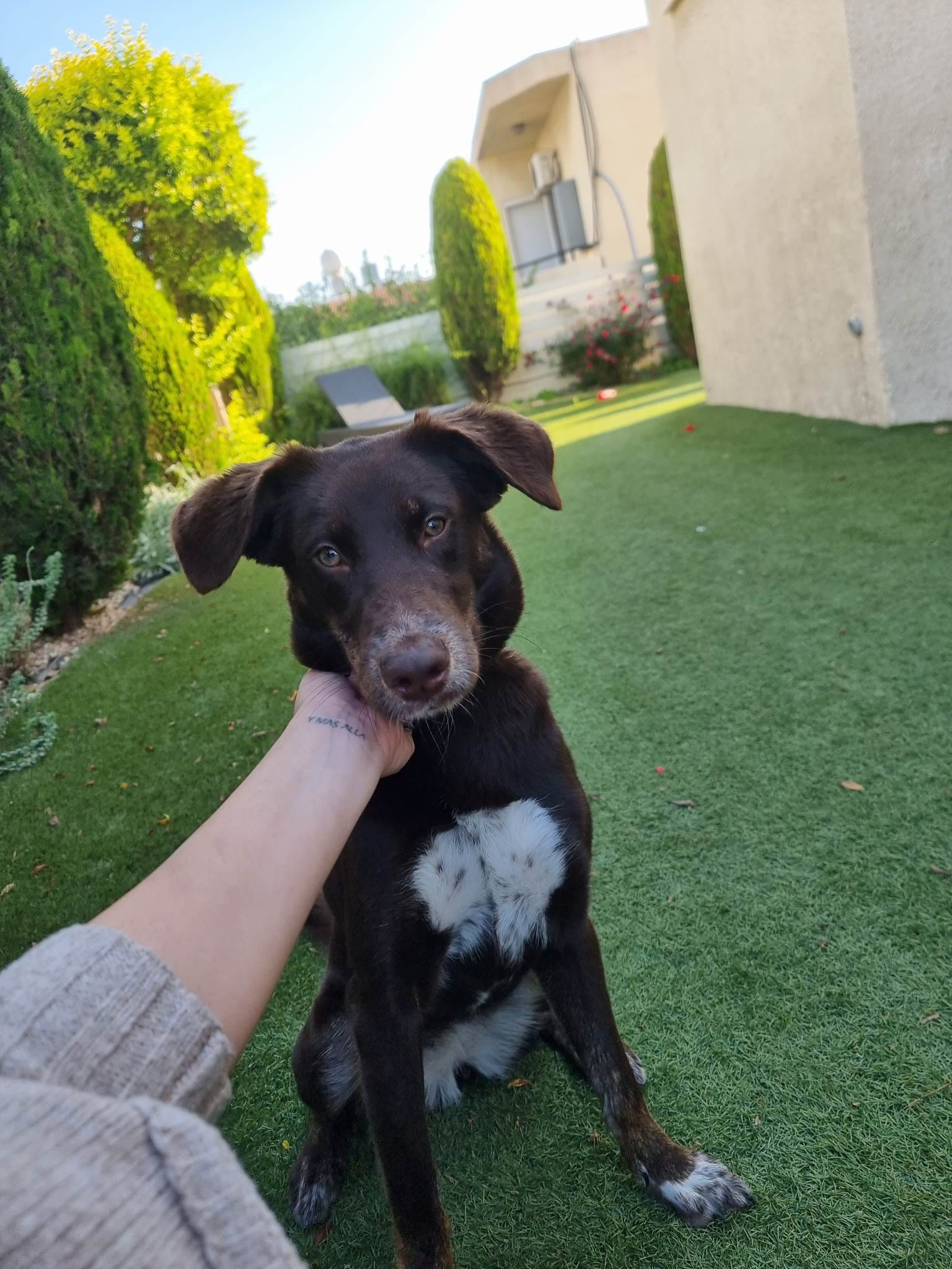 318665642_450809853886430_3870153555550754766_n-1