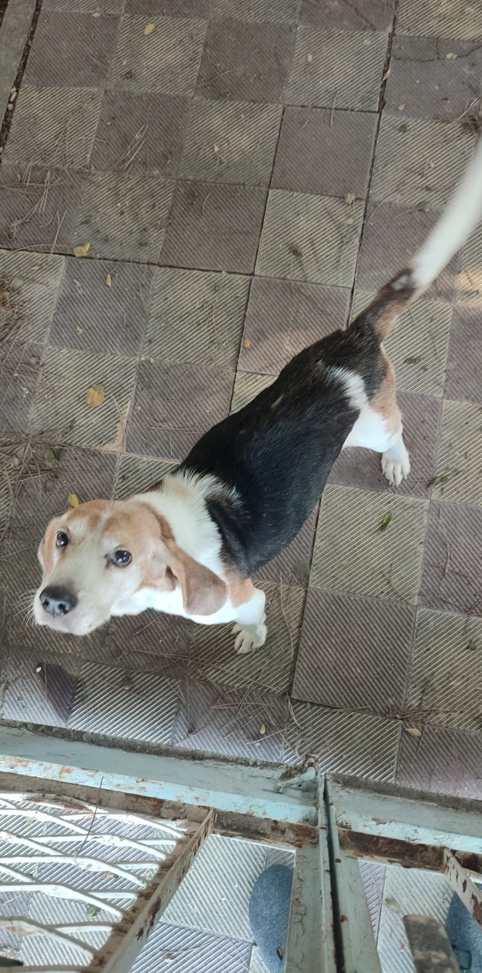 53203aaa-536c-46a7-a2fd-a22e8813b781photo