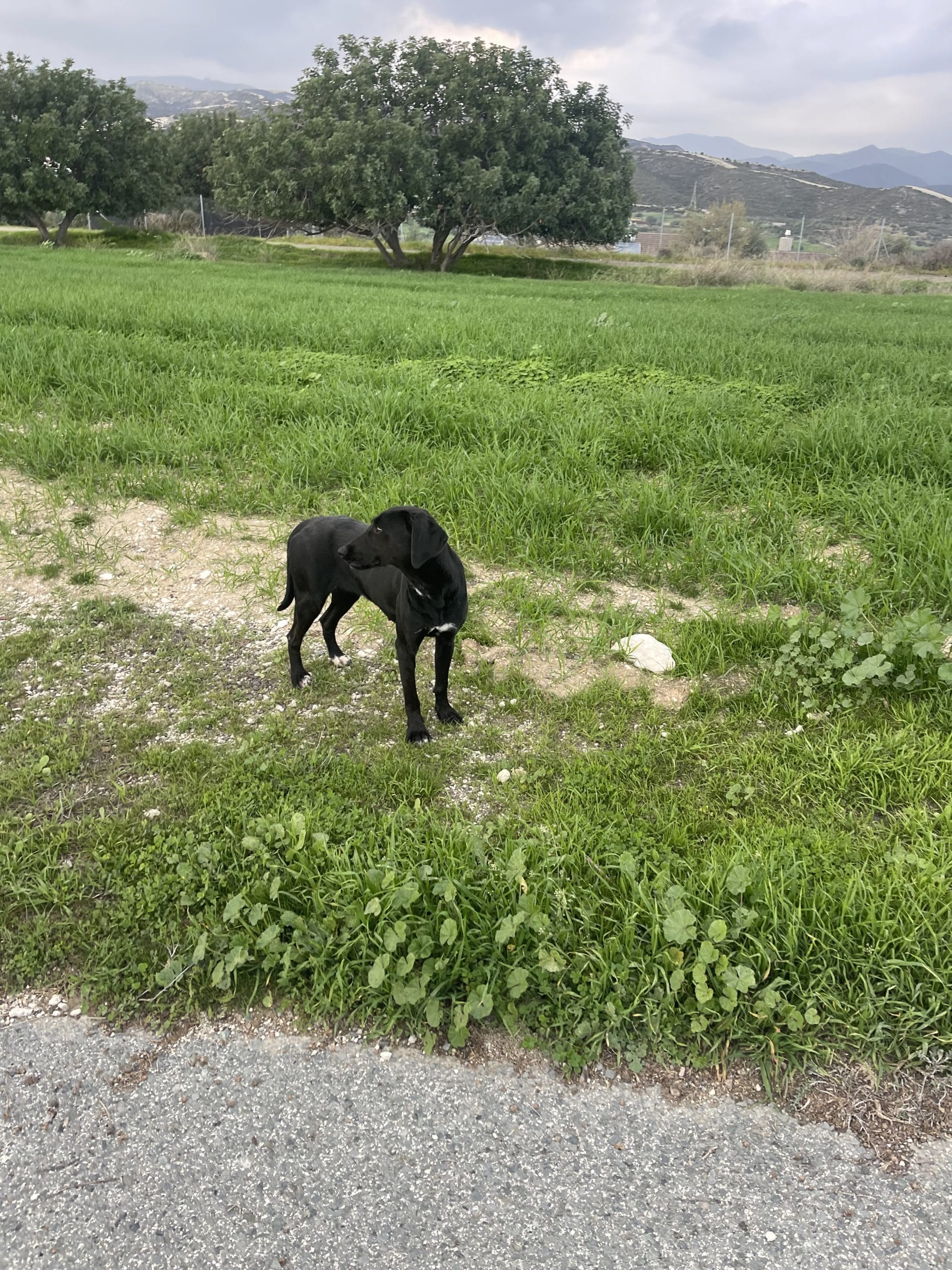 56C52B3A-6C31-47A1-AAF1-963FB0DA30C2