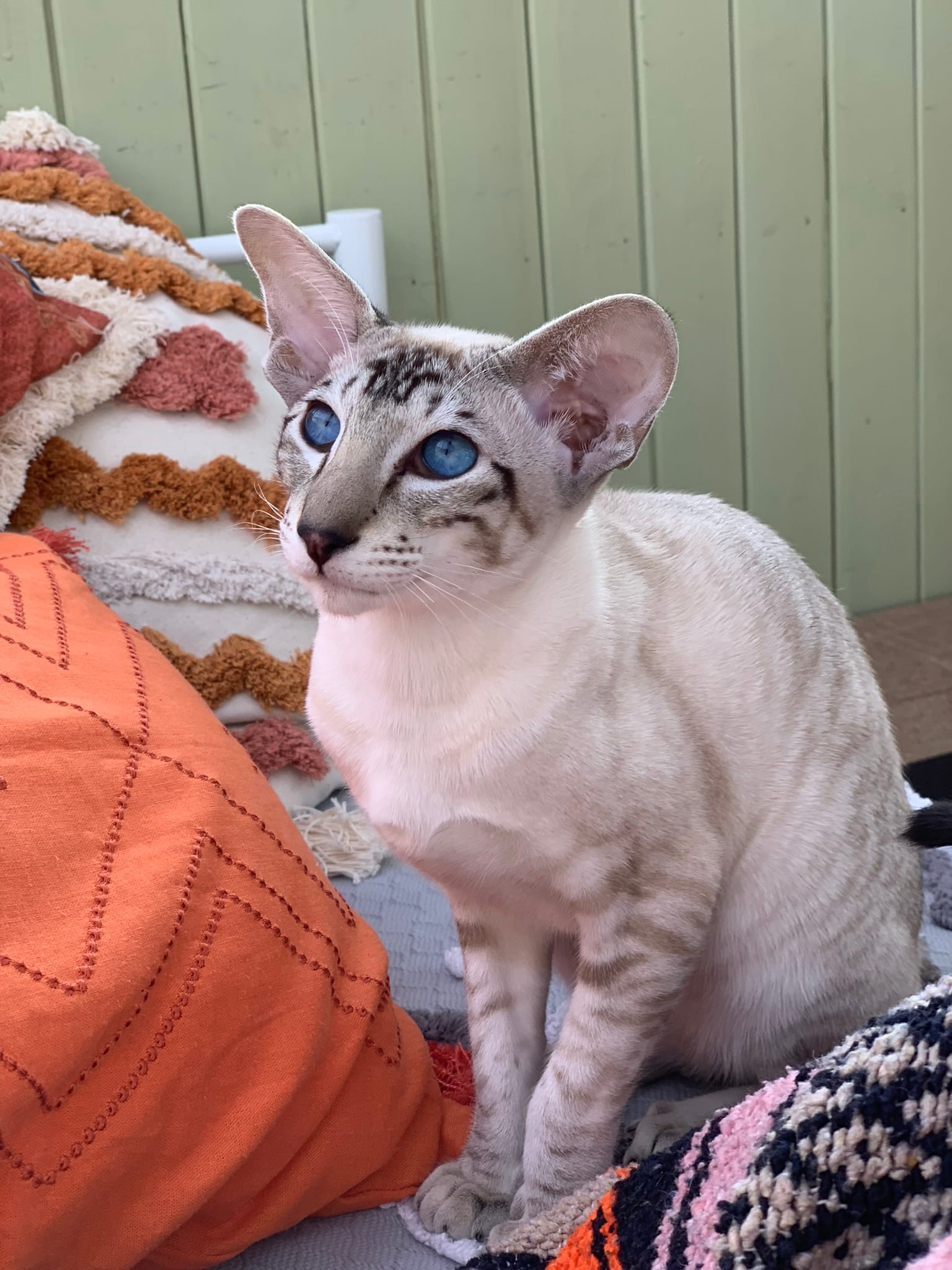 5F5D615E-D312-47A1-9E05-470BADCAA7D6