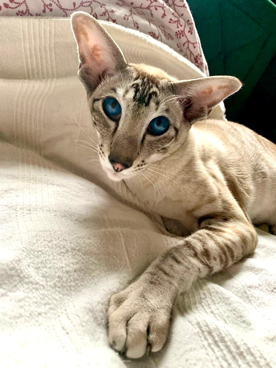 8498A073-5A94-4704-9B00-50F53D172DC7