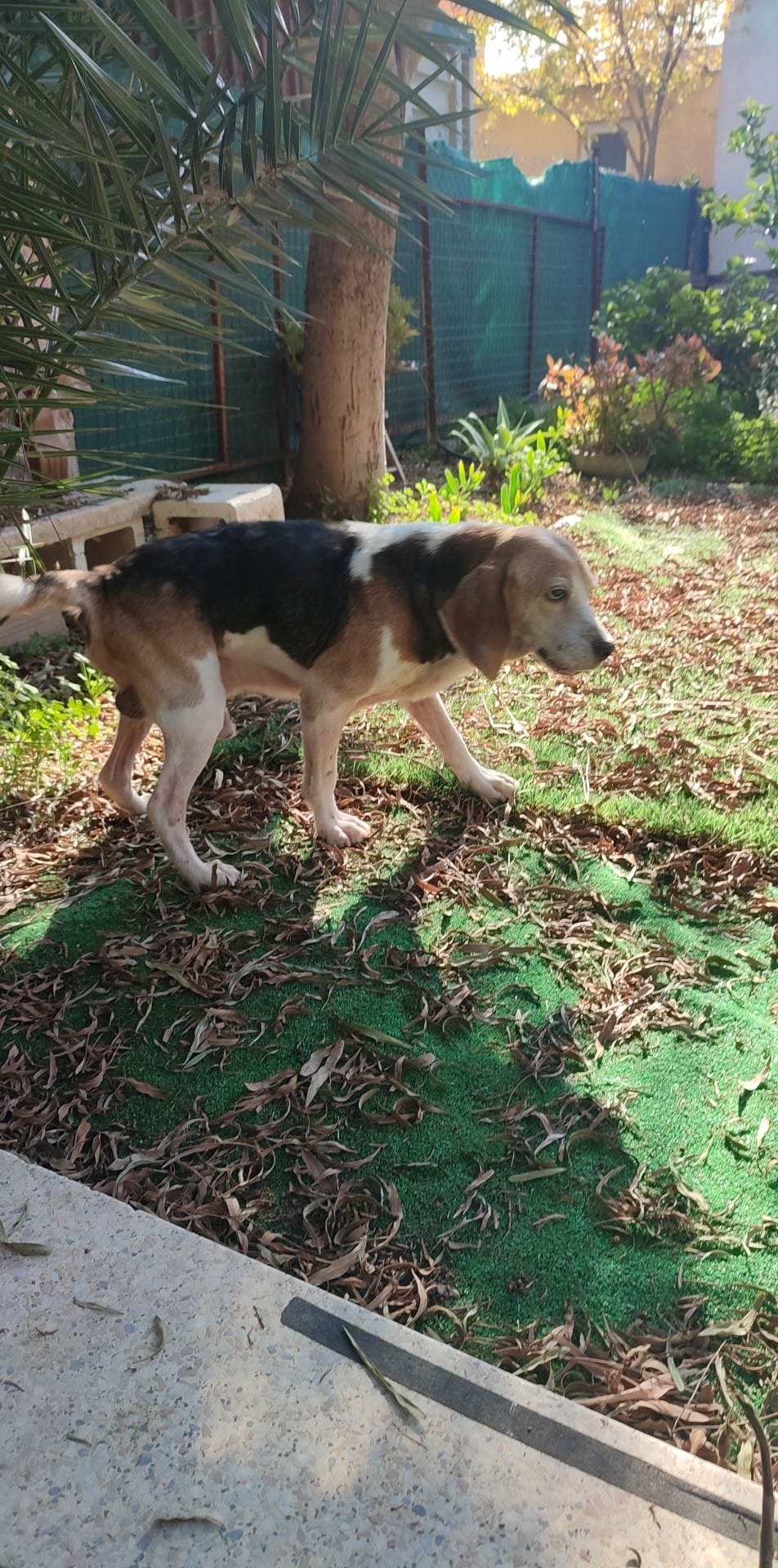 8d748ed8-6622-4fcc-a179-48fcb0c33a7fphoto