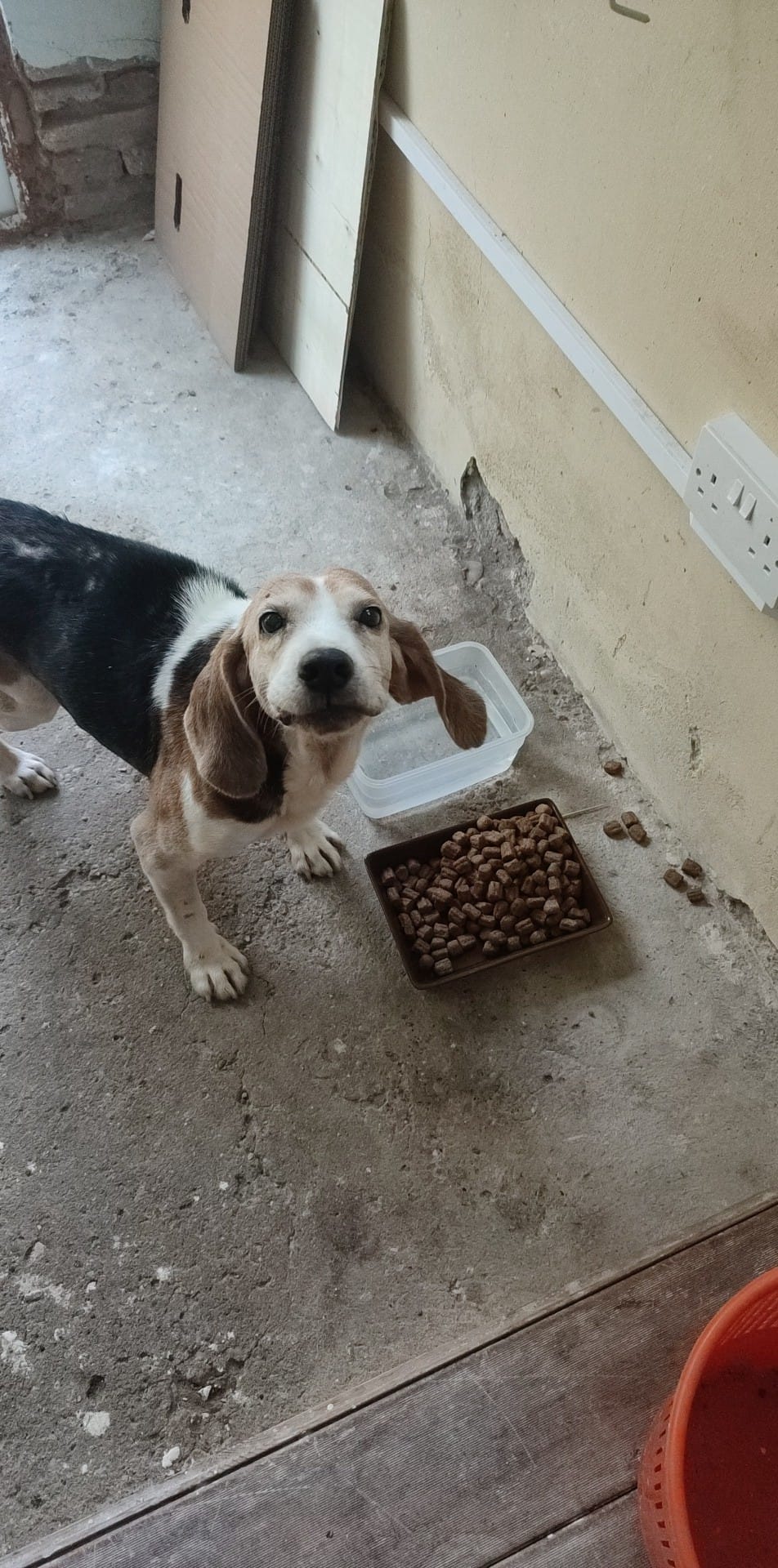 91738d4c-9edc-4a07-877f-b88b93739fd4photo