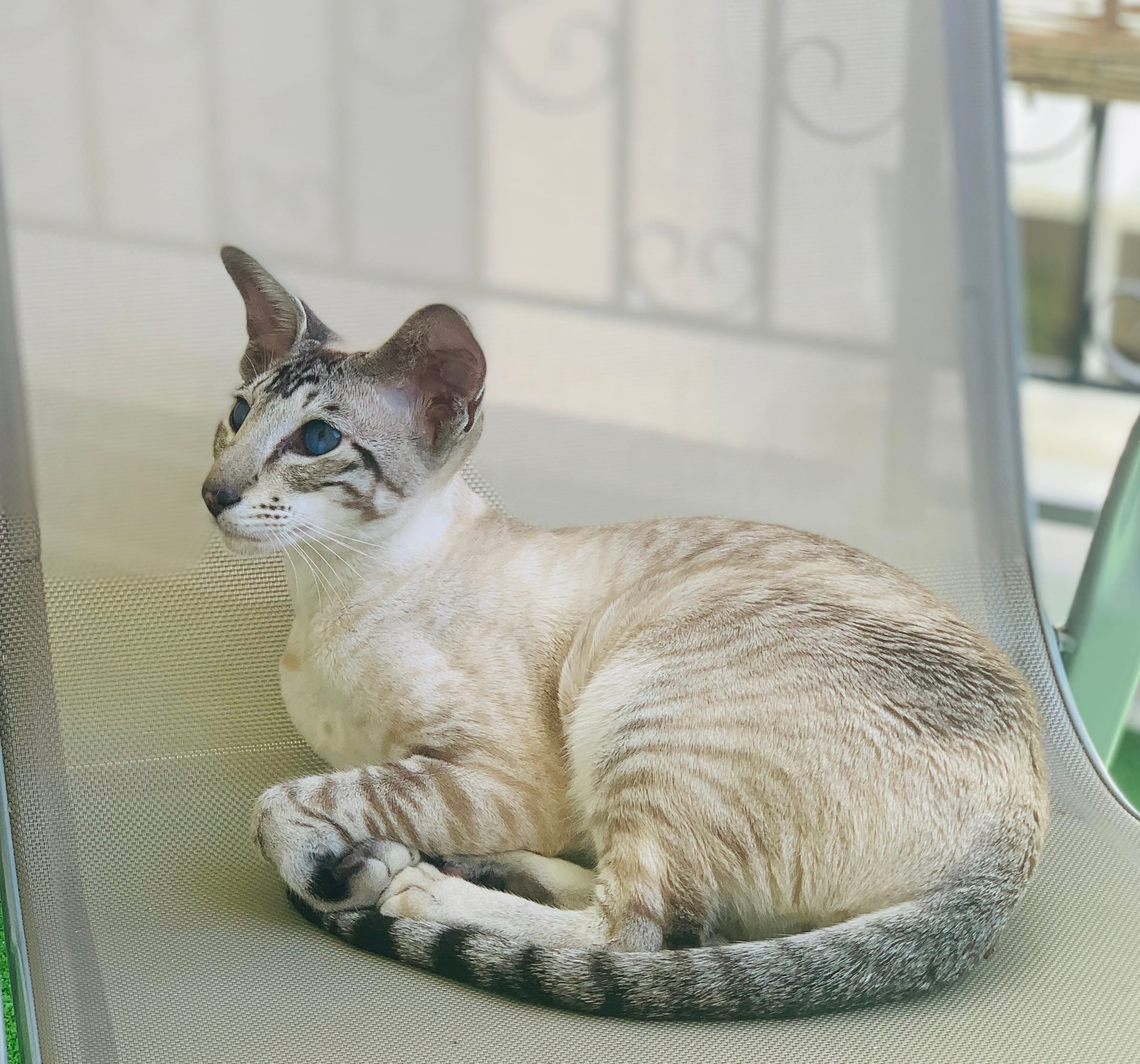 D477DED4-3682-4527-A99E-C3C55314B567