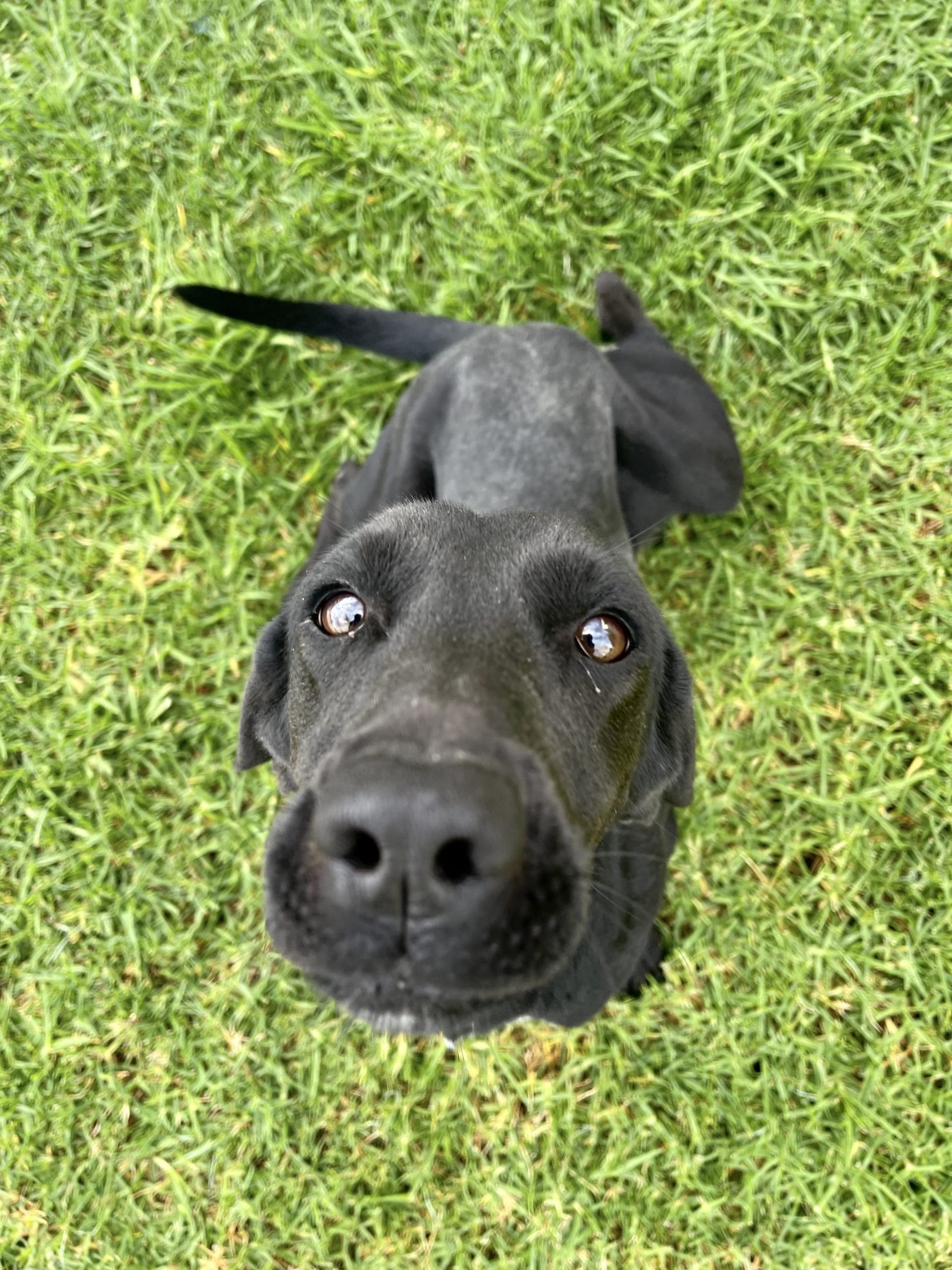 D947D704-2A6C-461E-952E-5F9CE0EBF698