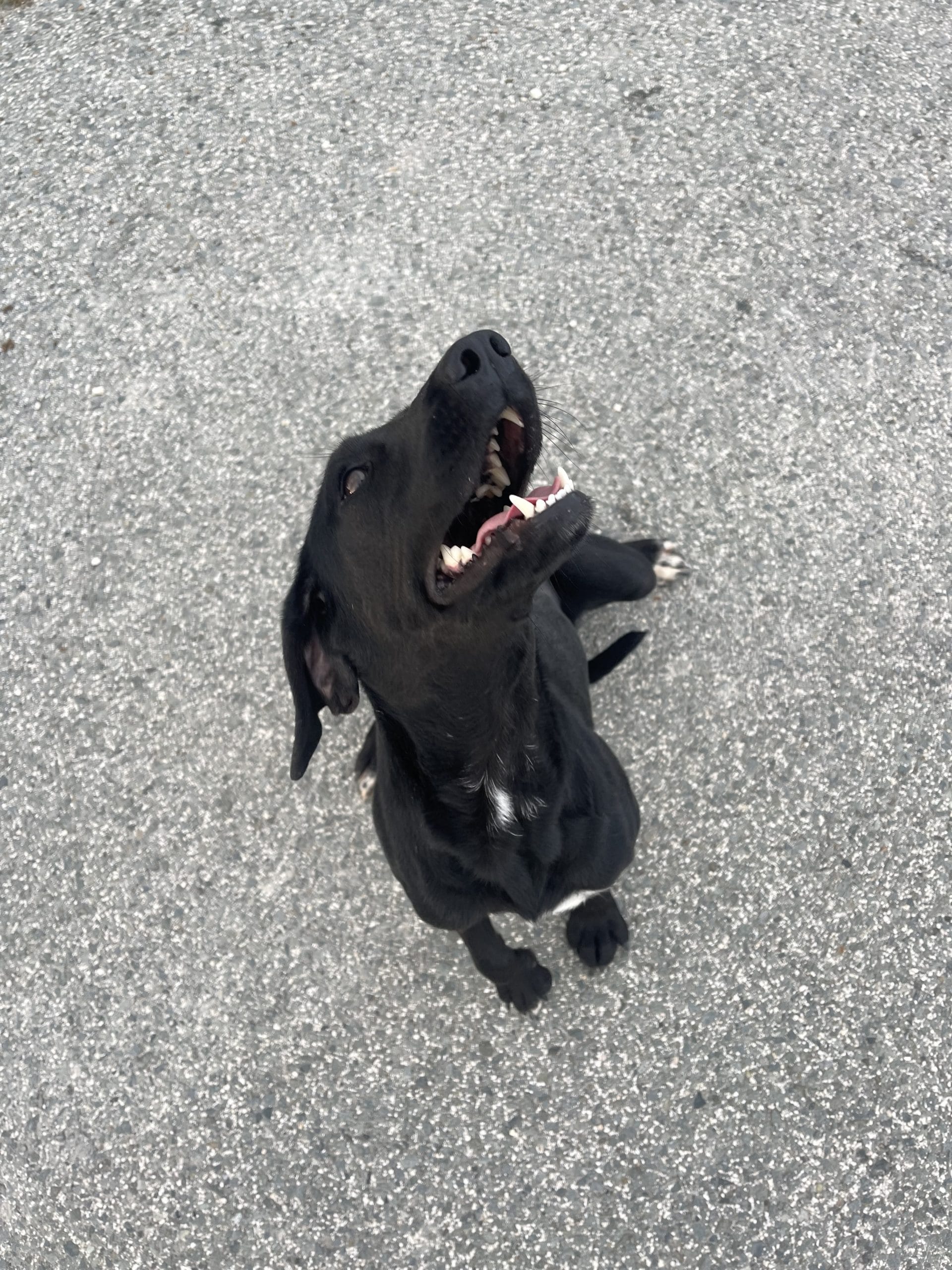 E58714C3-97C0-4AE9-8973-2F2BB0C22C2A