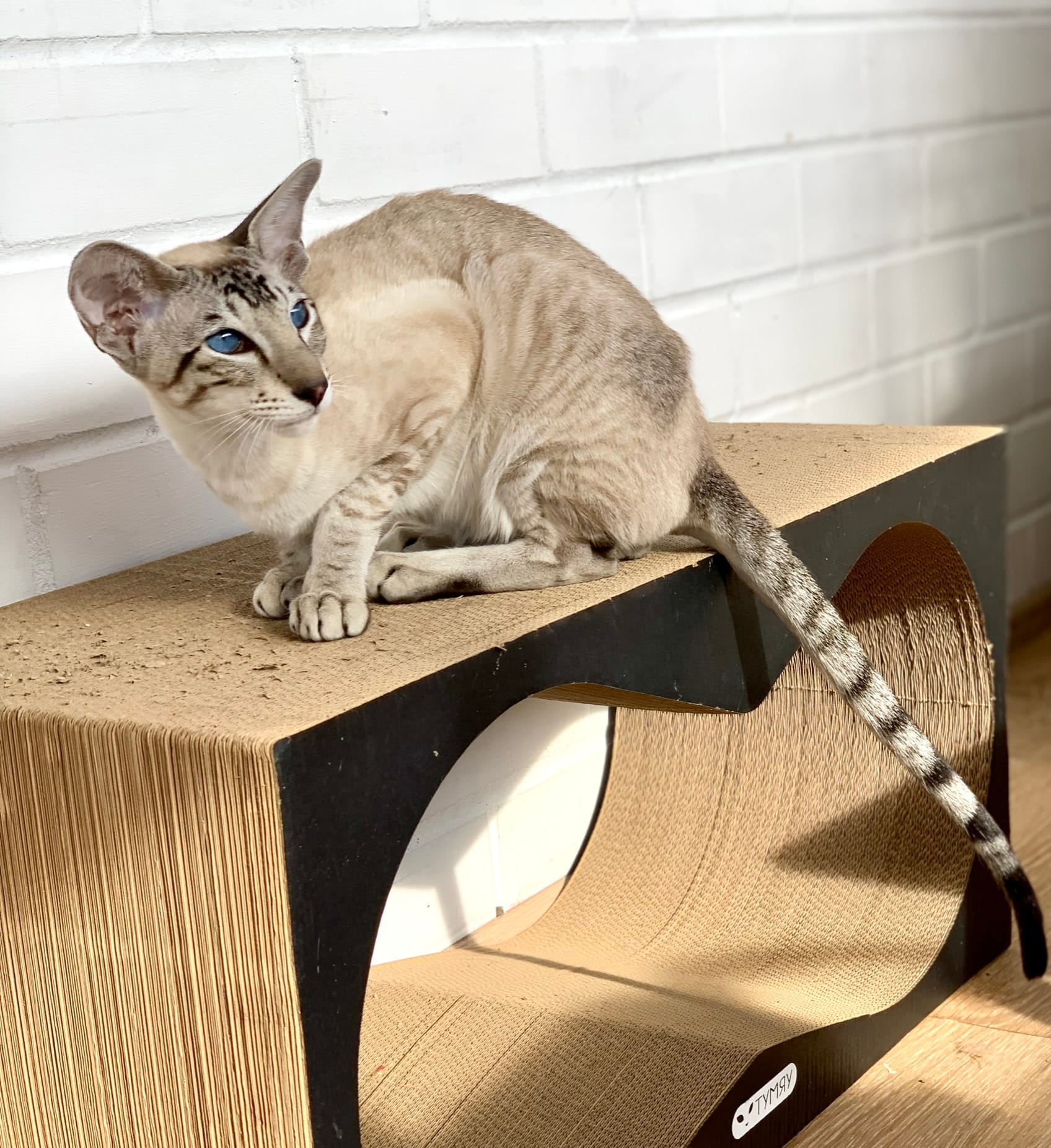 F9036E7E-FEFA-4194-877C-C25A4B282BA3