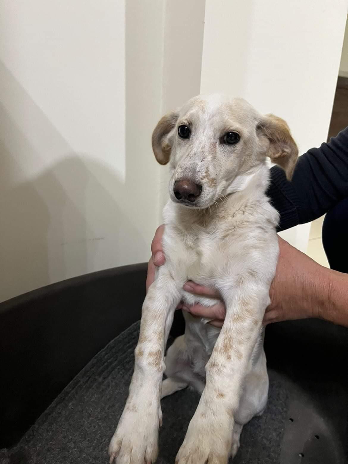 IMG_20221206_100513_883