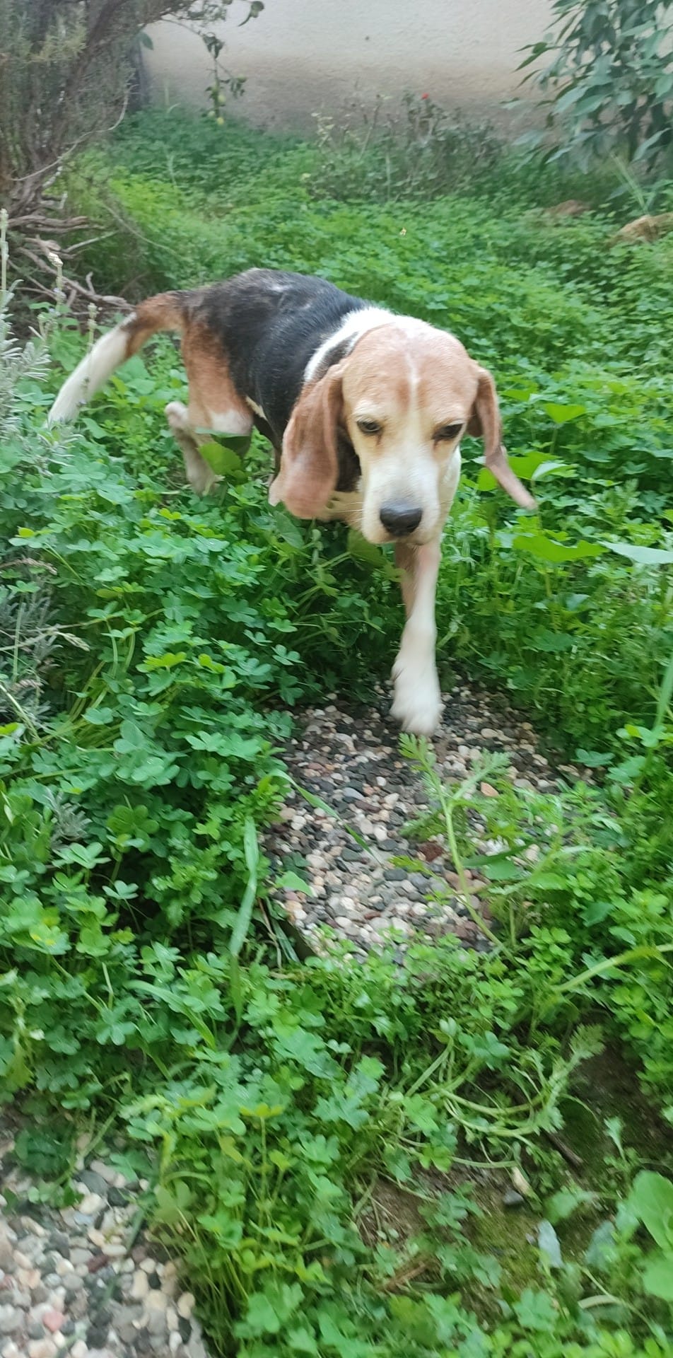 a342f748-ffe2-47bf-89a3-4f3ca8b85d22photo