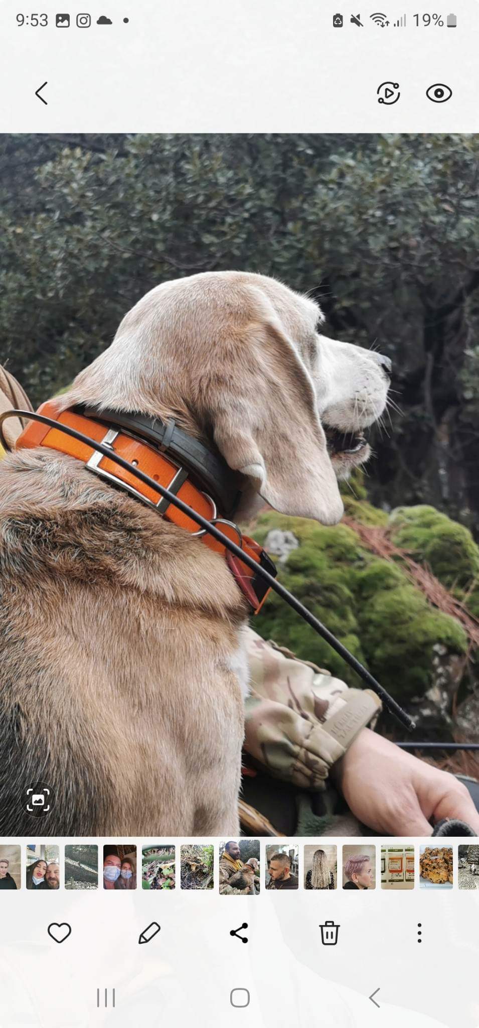 received_1214654039481134