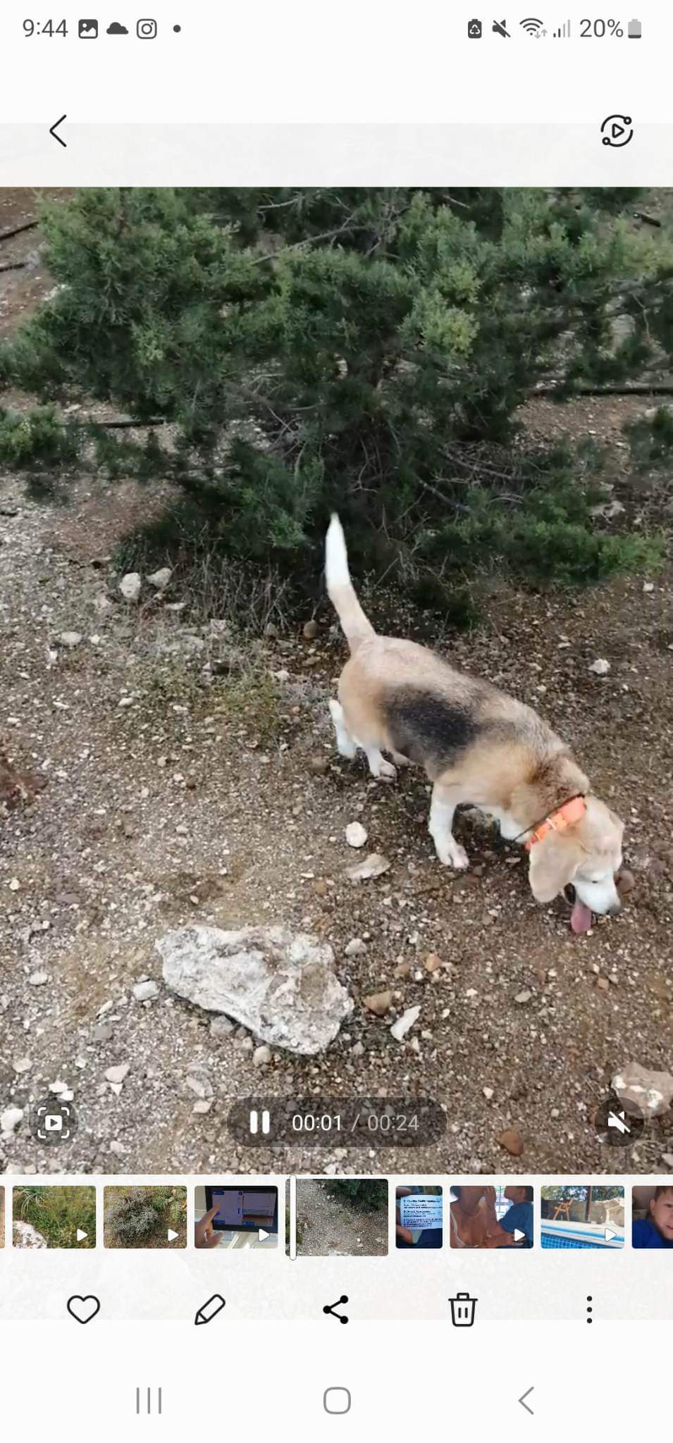 received_3351018848552247