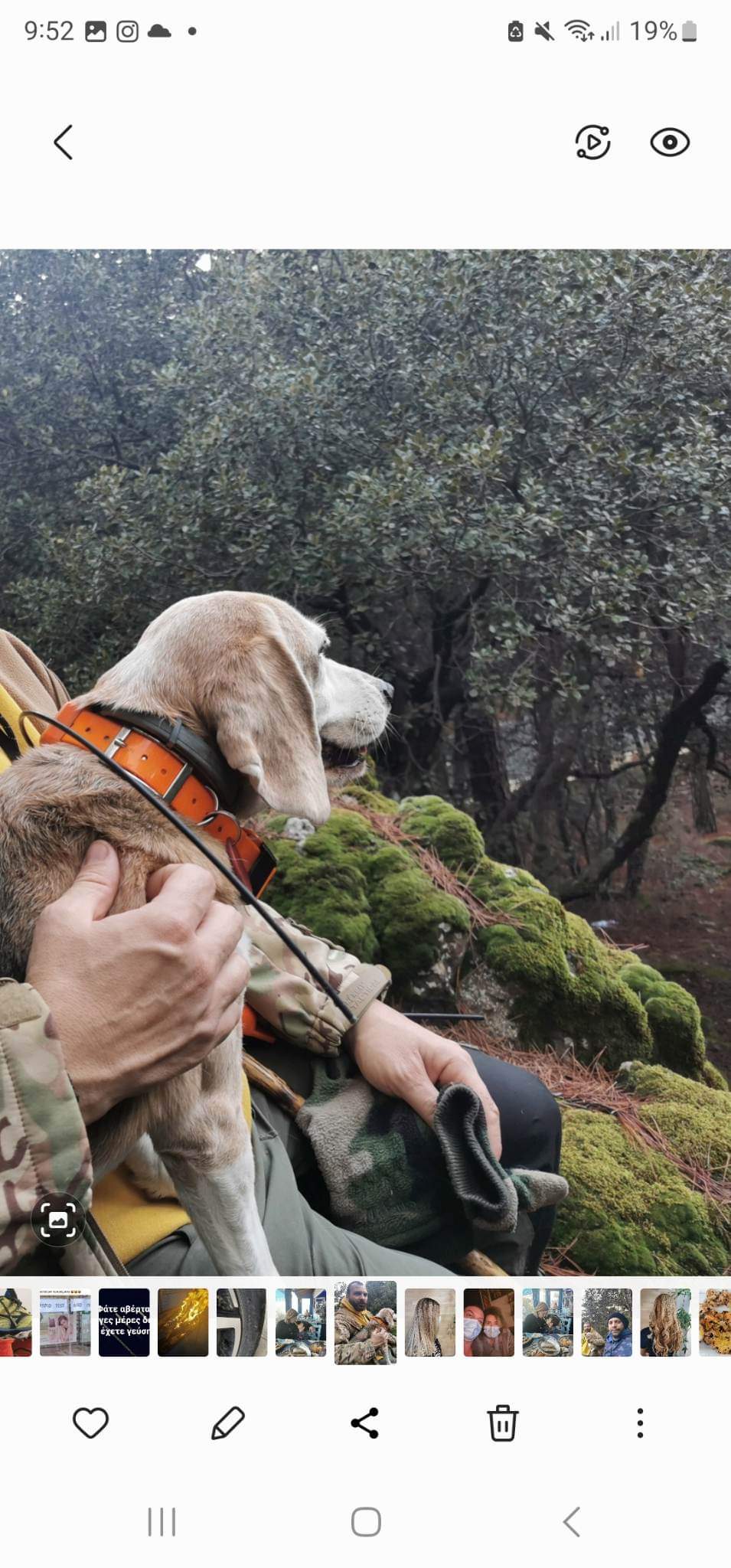 received_461892599428472