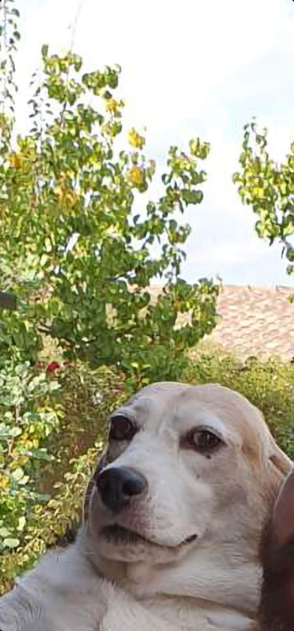 received_550626629903037