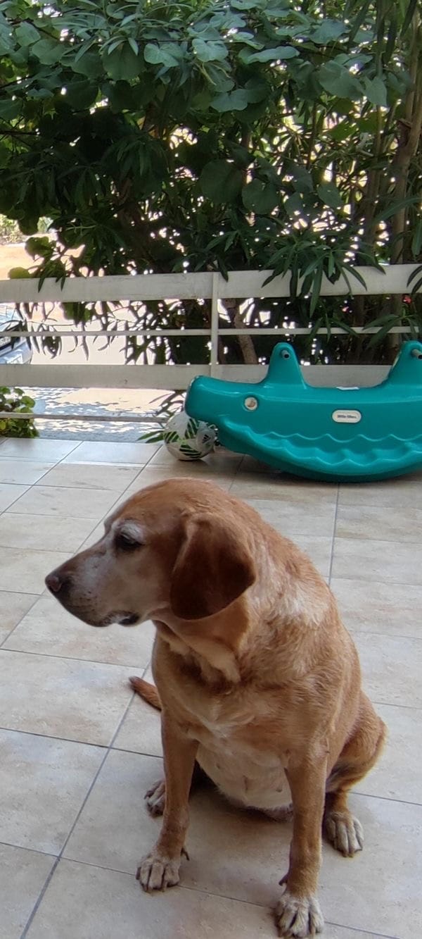 03B32956-DBDD-4E24-8858-92D2680293FE