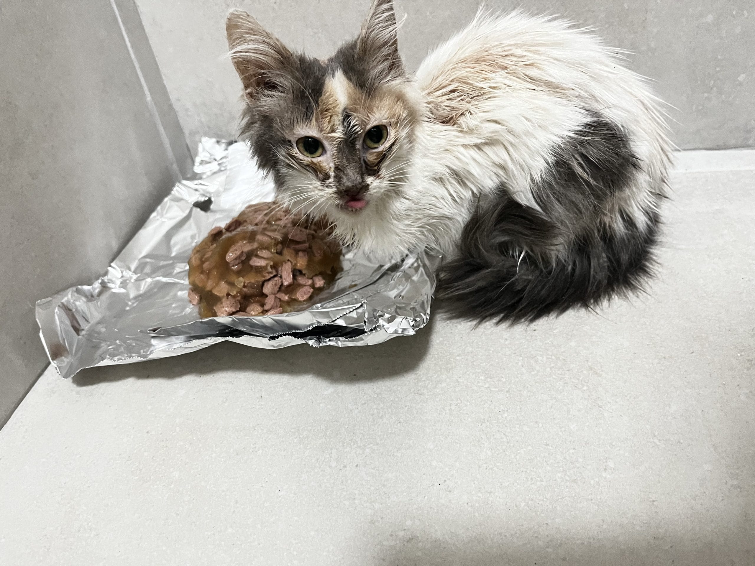 11A768FD-B5B1-4167-B93A-B51C0E18A746