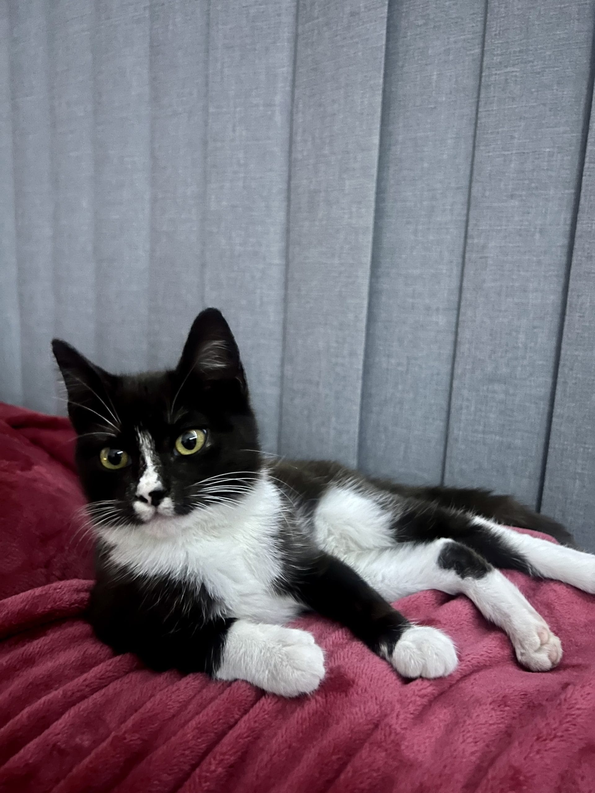 1308DF17-9D85-412F-8915-F975244A5317