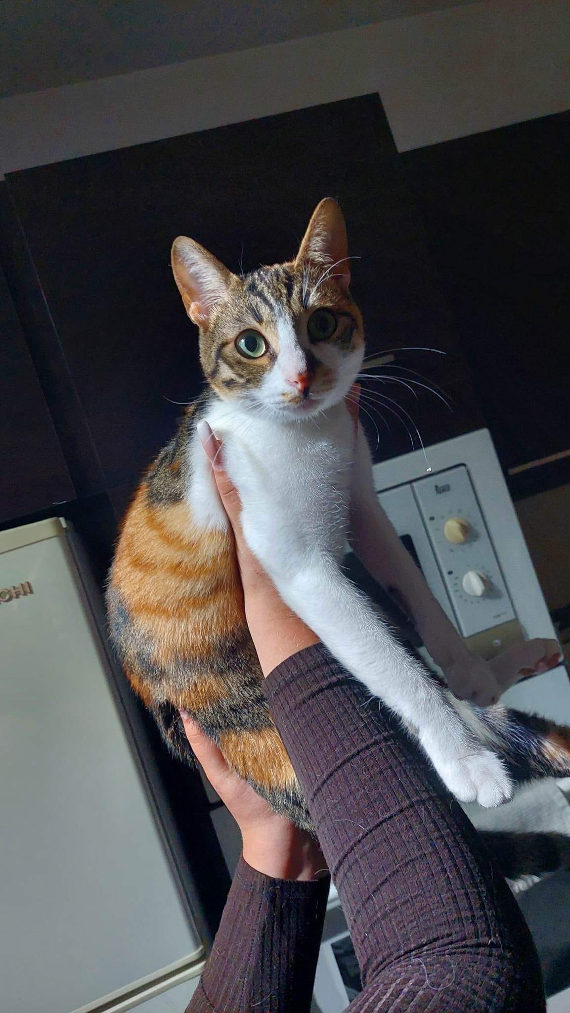 3153870D-39E2-4A4A-AB7A-5776C6AD6C5C