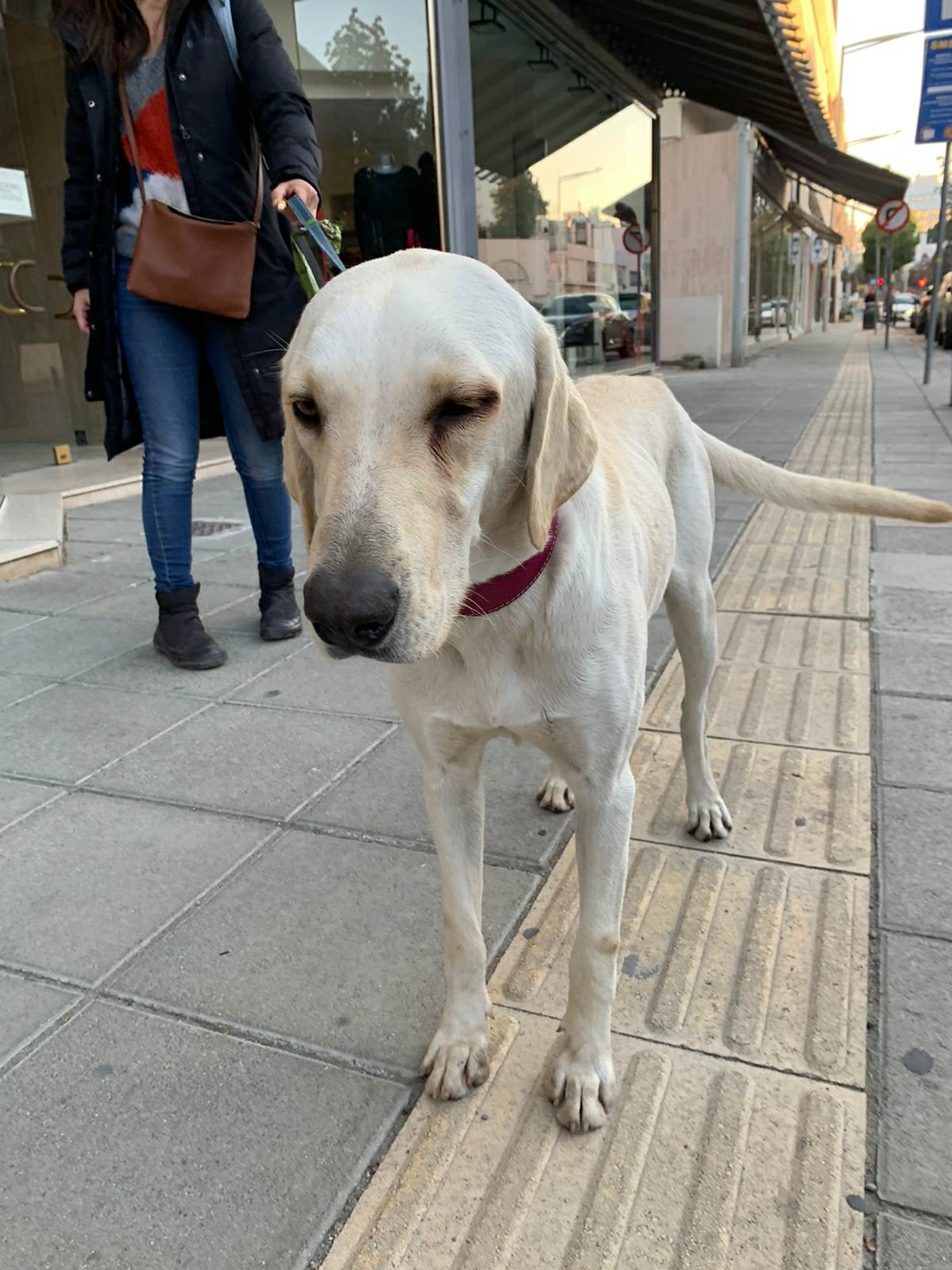 320580669_707998830697089_2848320757618247806_n