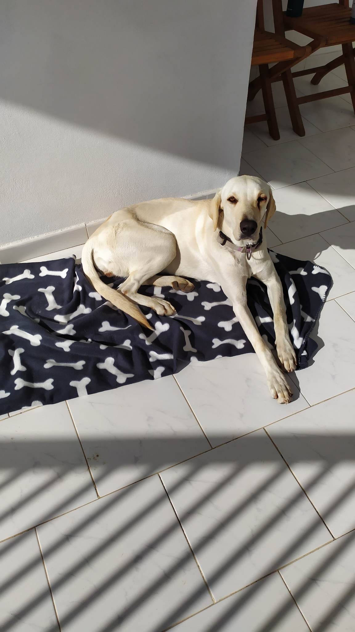 321482323_2489468424594711_1097429370318147823_n