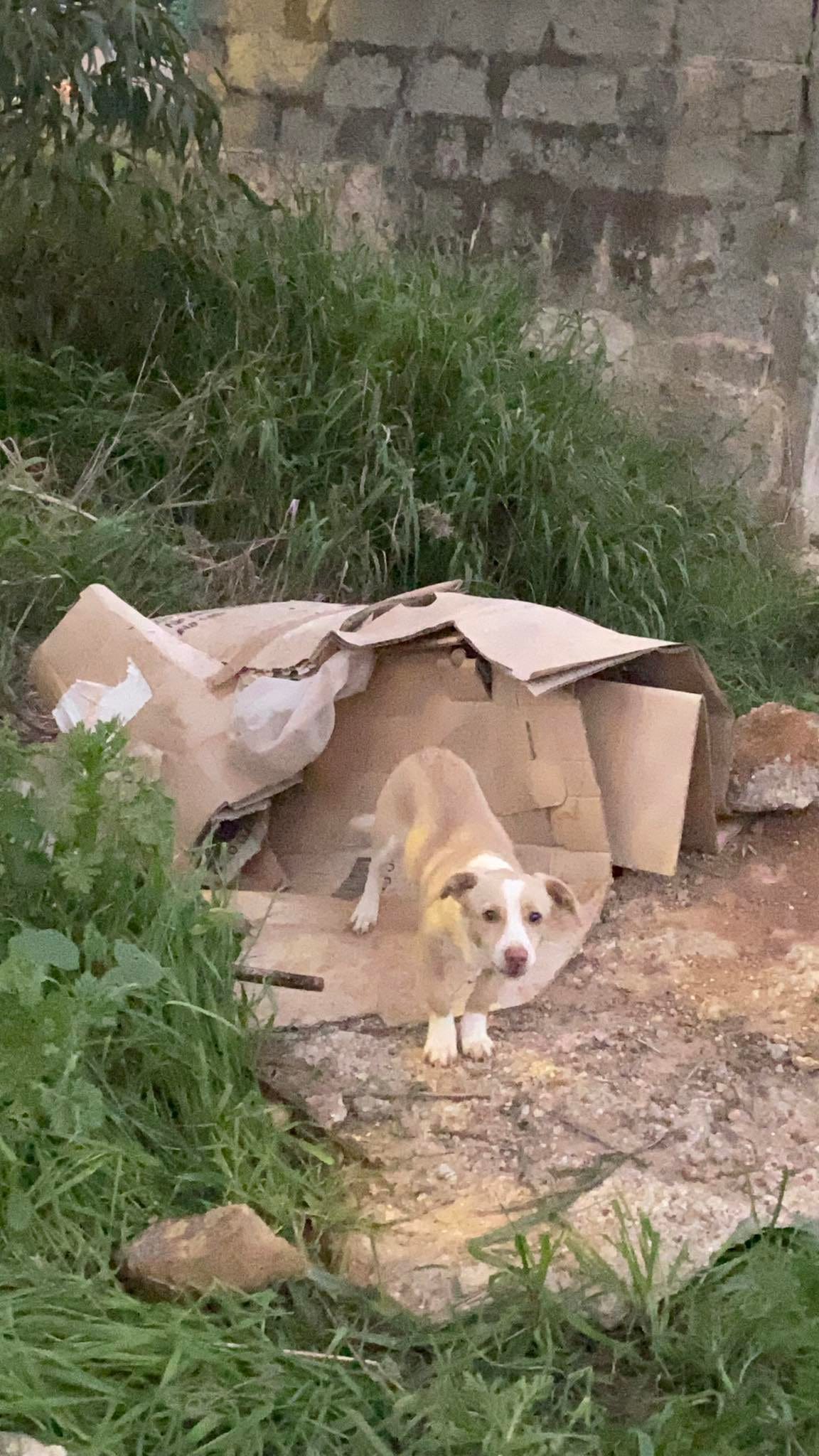 321744796_875039880430682_3492095529487066573_n