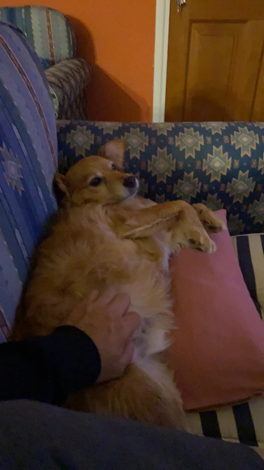 321914453_1326730608103822_7356613489931298963_n