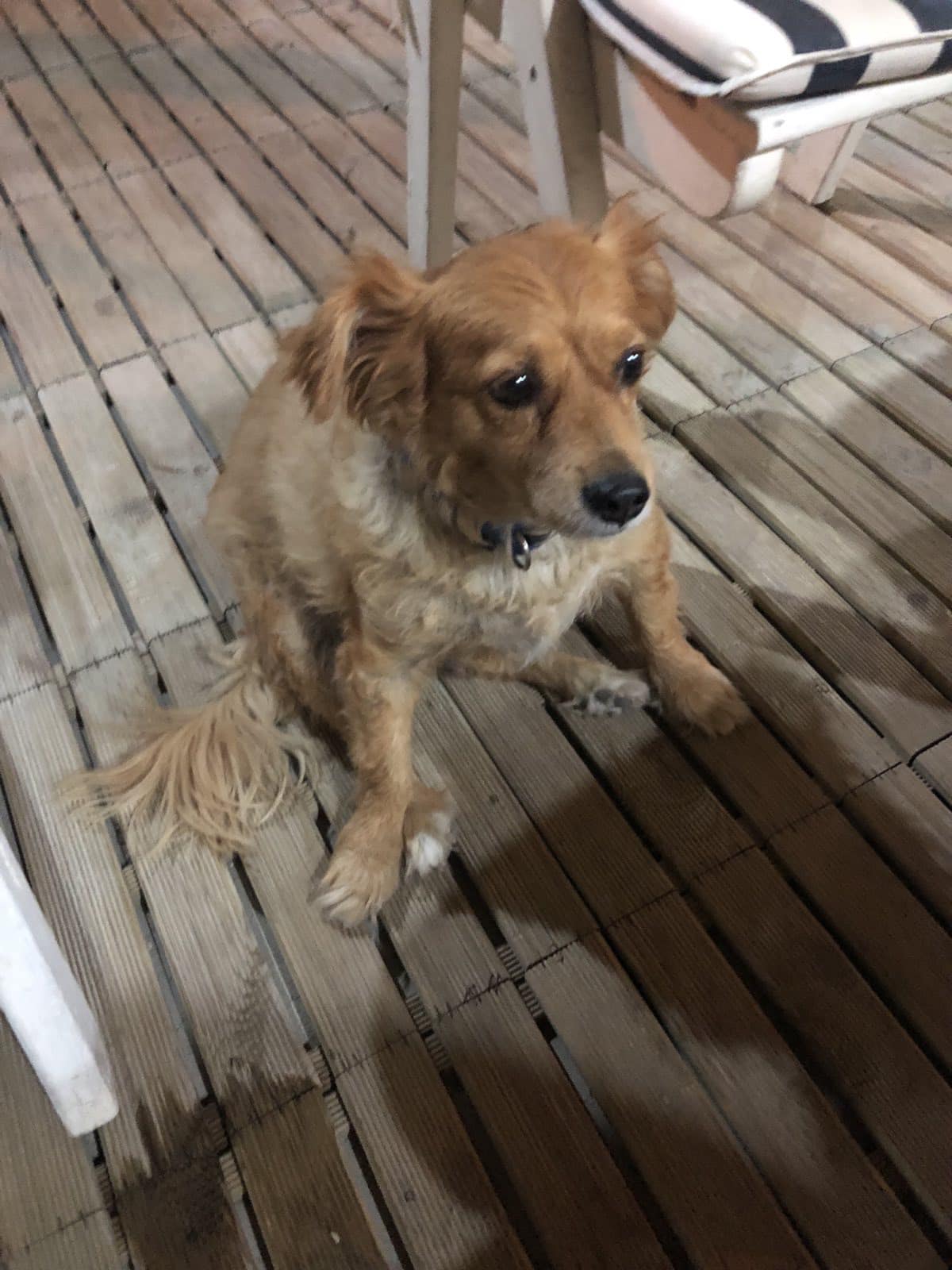 322478663_543658087676639_3522856315872224533_n