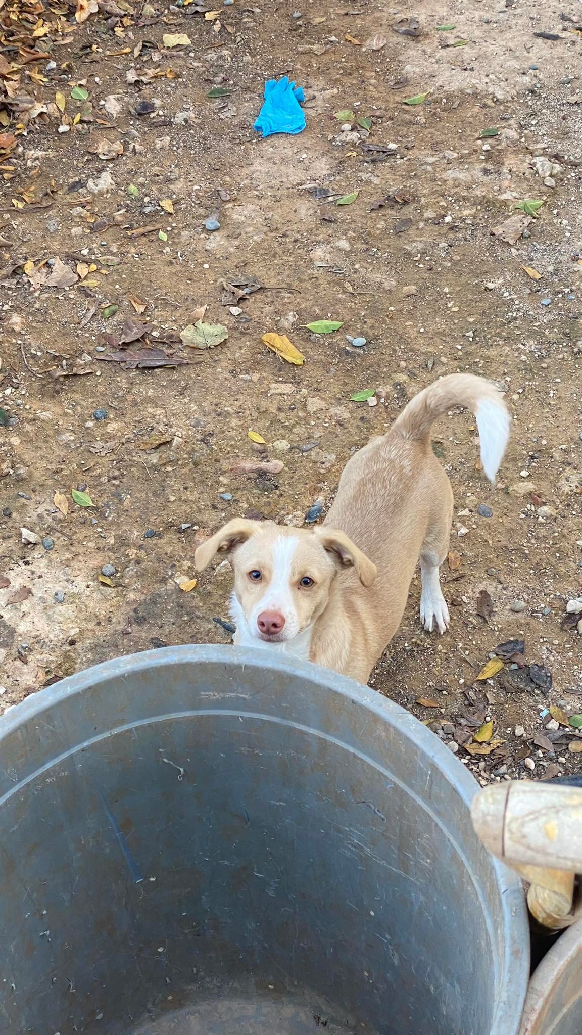 322543781_2474412526056735_7853908044019085992_n-1