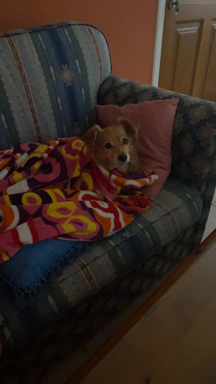 322602146_546409577405093_4868475466553404228_n