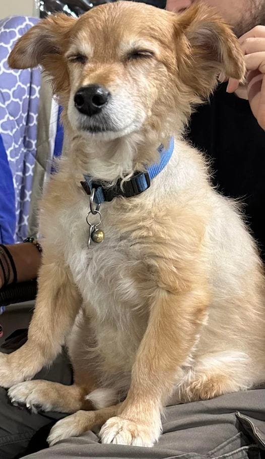 322614708_1982763148593964_112350451296747195_n