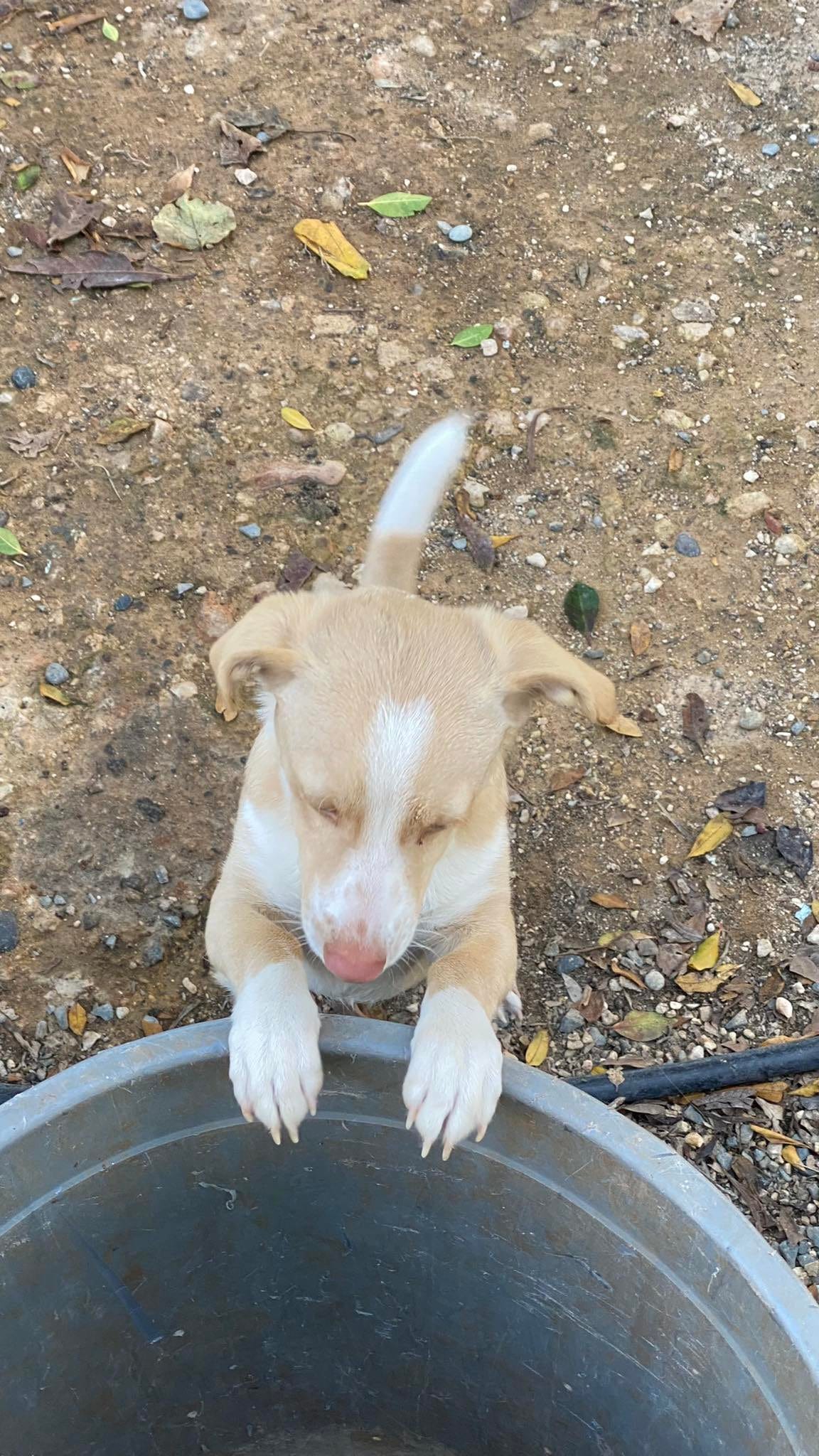 322661314_6609693679042343_2667677144414595575_n