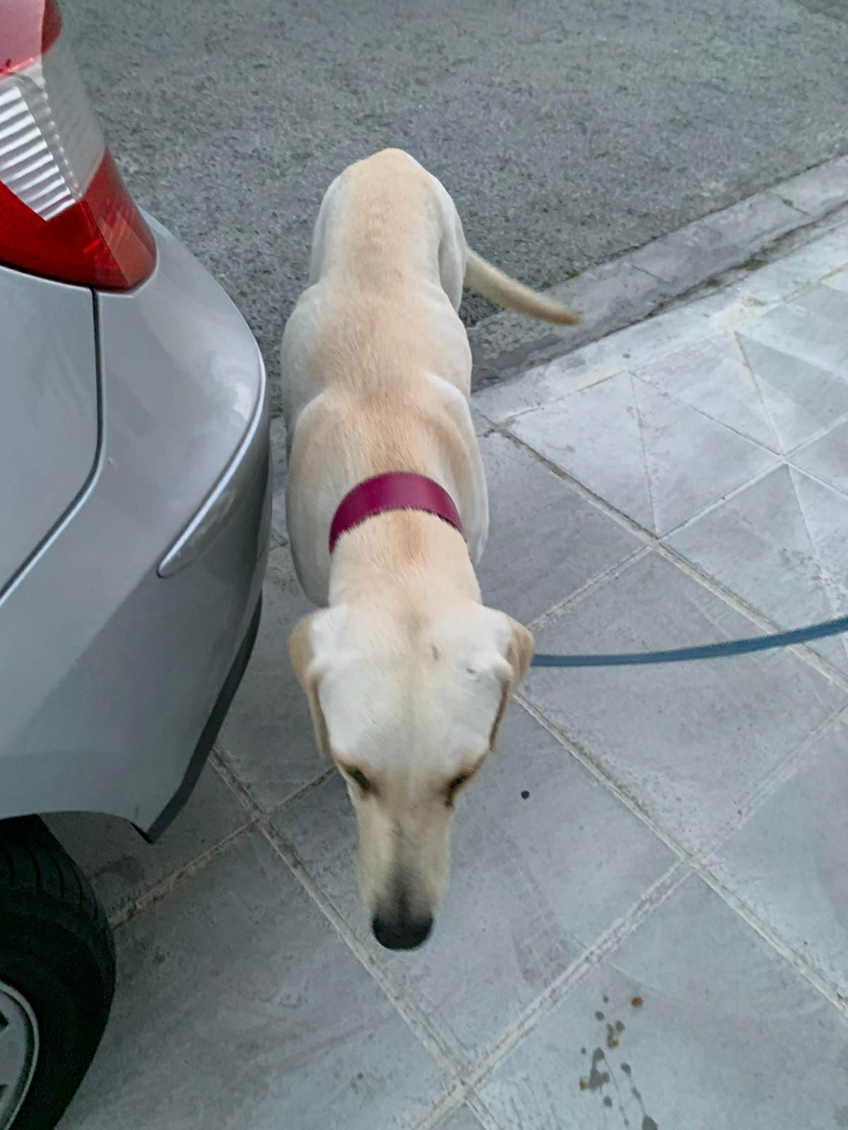 322724237_497483789037659_1439565639855667050_n