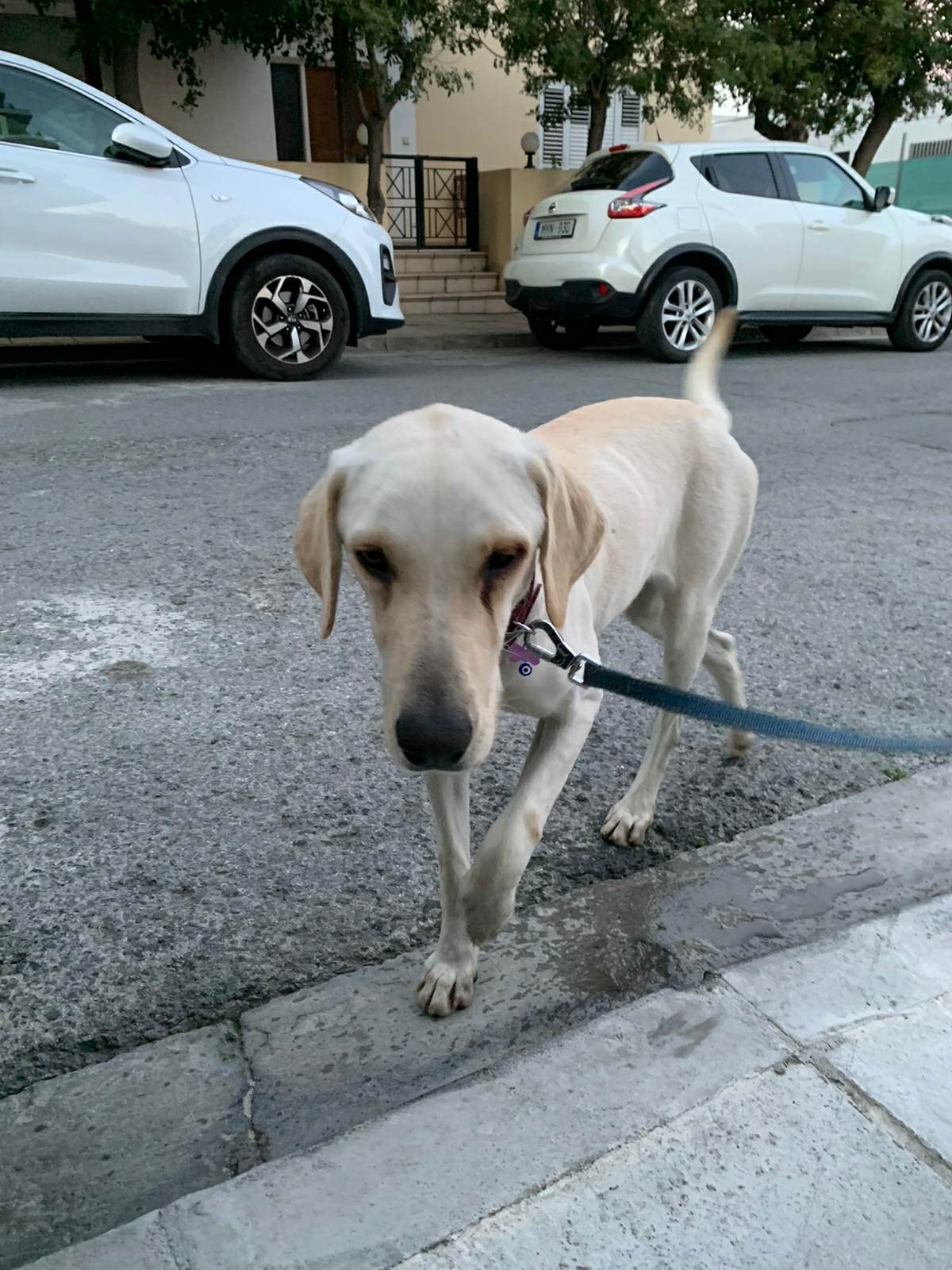 323092342_3433539936914786_4241979391959596086_n