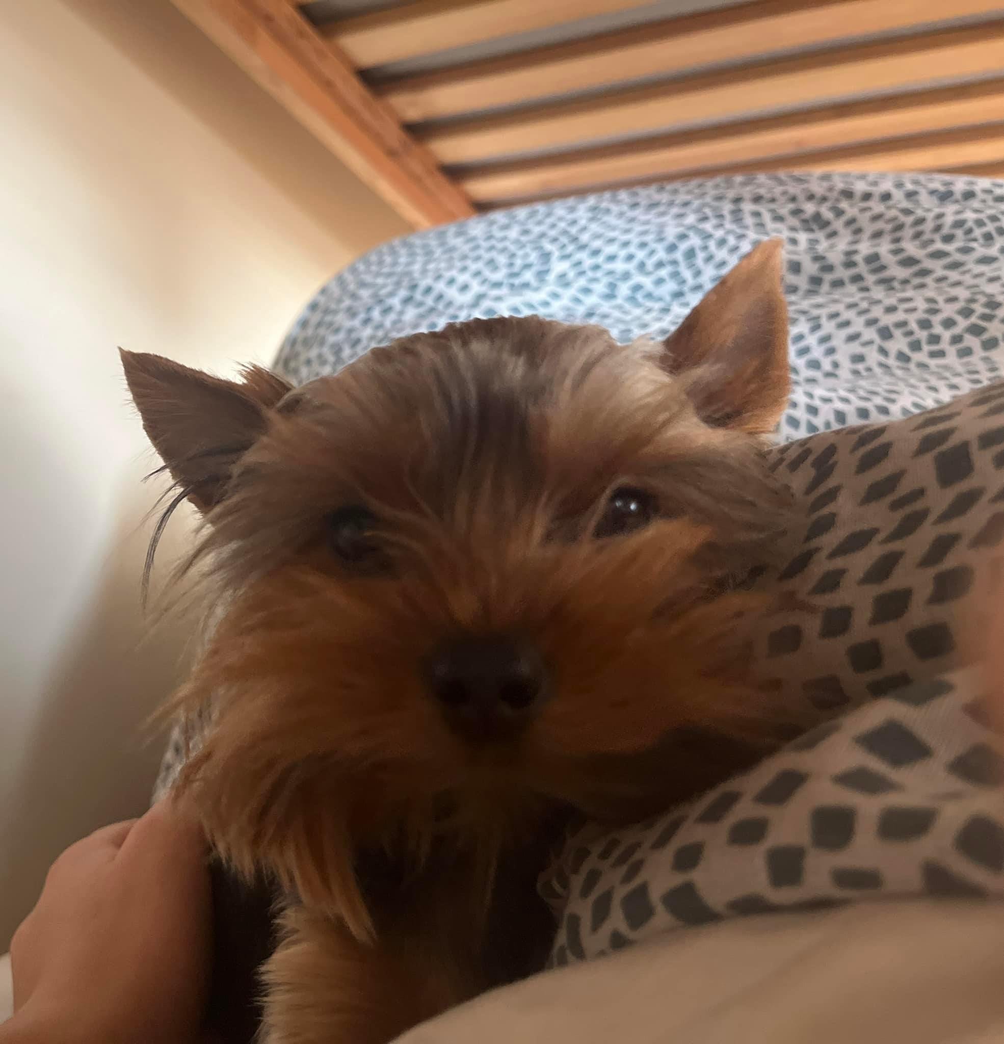 48F48DBD-8985-40B7-ACBF-3C7E11B94932