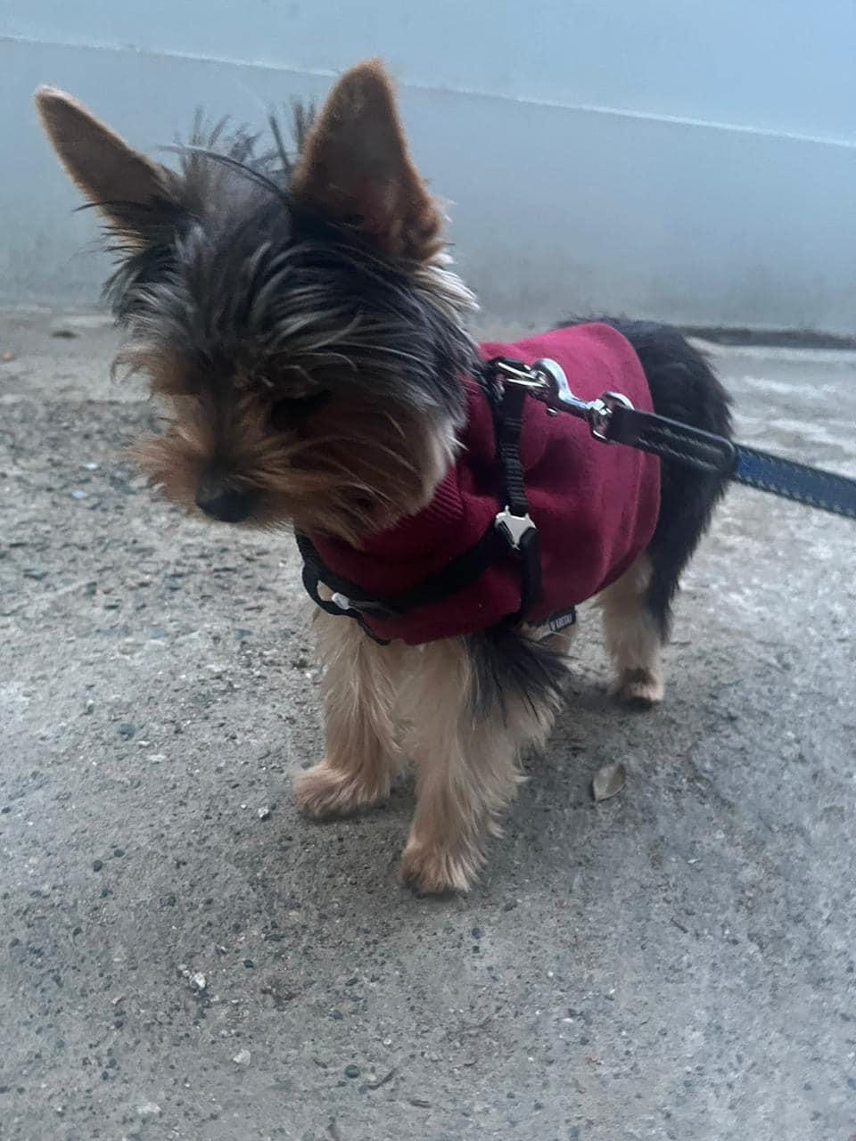 50EBDF4F-F7BB-407E-9FED-D1E7A413ADD4